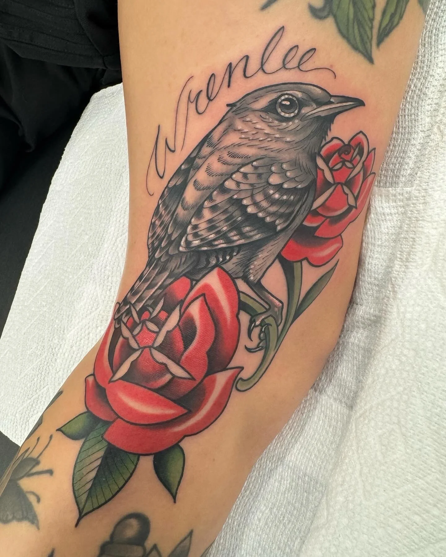 Neo traditional Wren bird tattoo in black and grey with color, portfolio work by Keith Kuzara at Sink or Swim Tattoo and Piercing in Niagara Falls NY