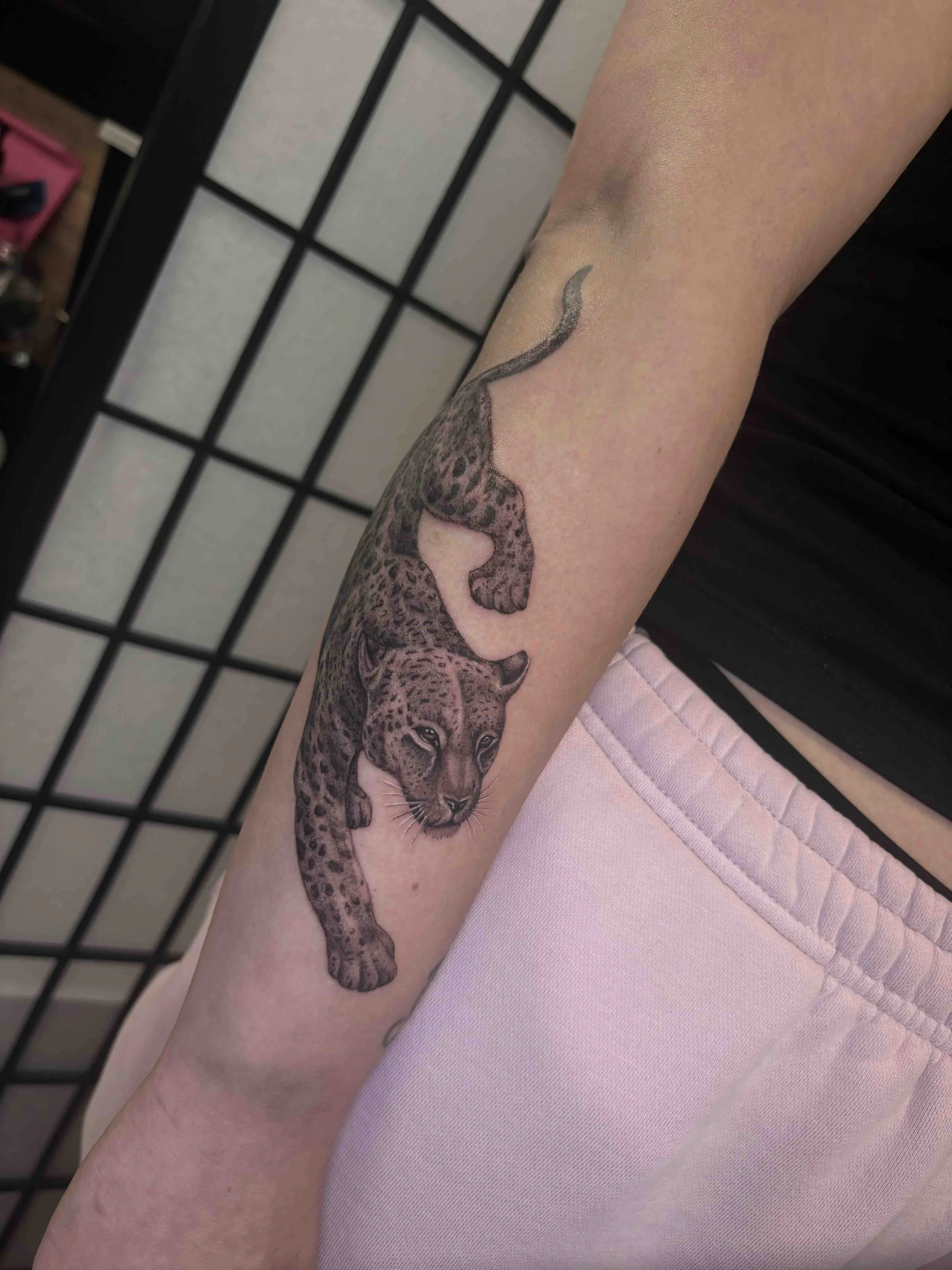 fine line leopard tattoo on forearm , portfolio work by Brooke Canzoneri at sink or swim tattoo and piercing in Niagara Falls, ny