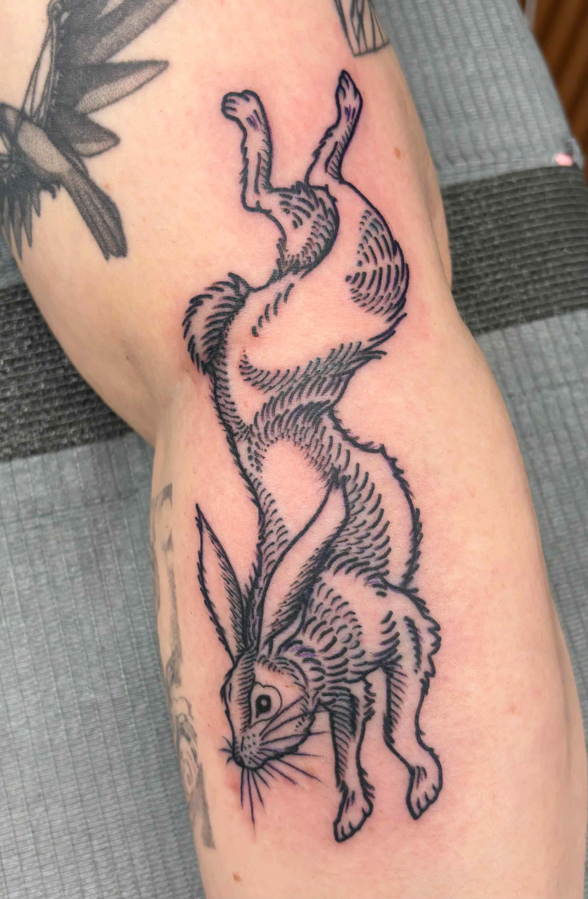 lithograph style rabbit tattoo on a leg, portfolio work by Samantha Sullivan at Sink or Swim Tattoo and Piercing in Niagara Falls, NY