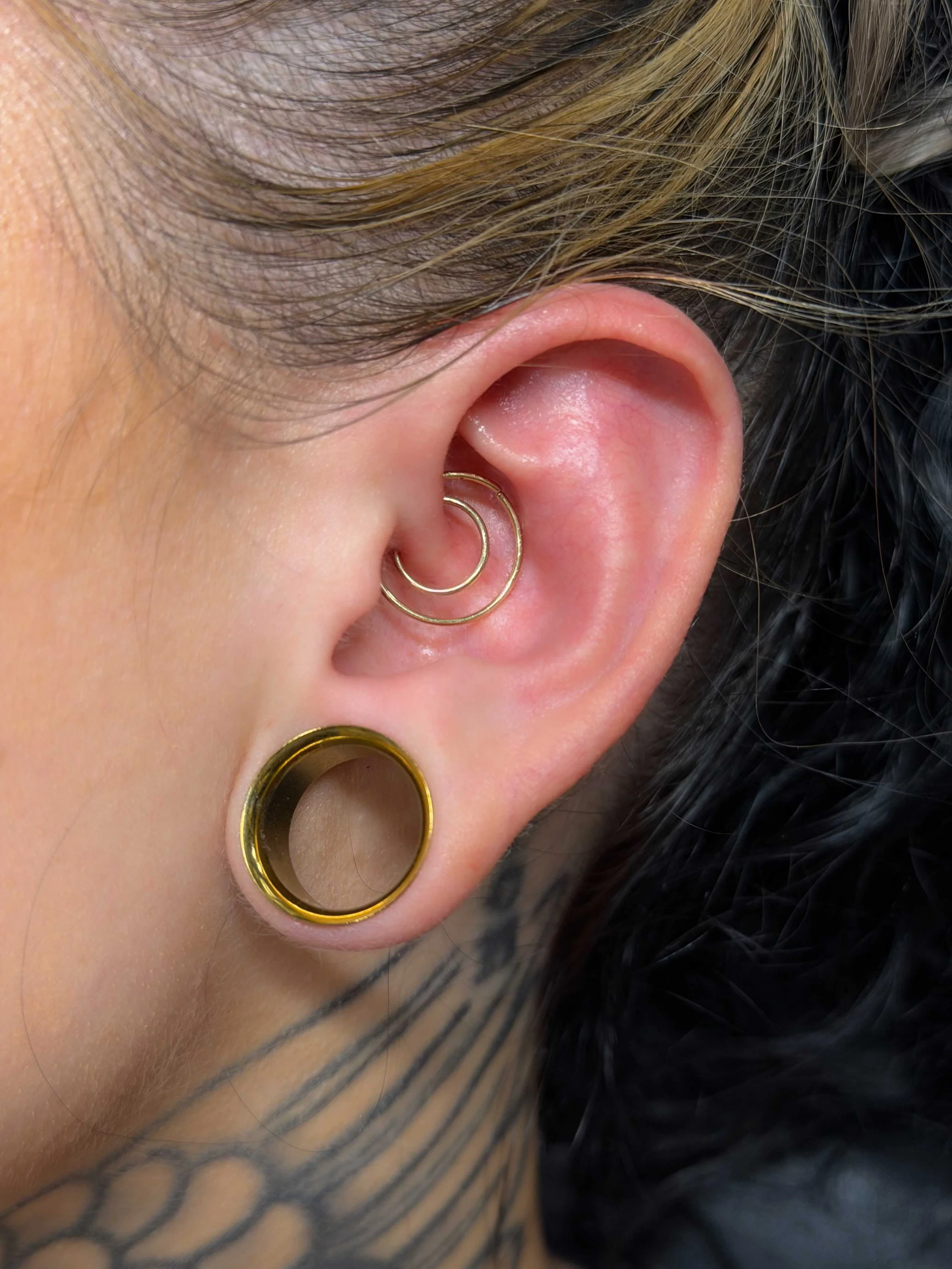 Iggy-Luppino-double-daith-piercing-sink-or-swim-niagara-falls-ny.jpg