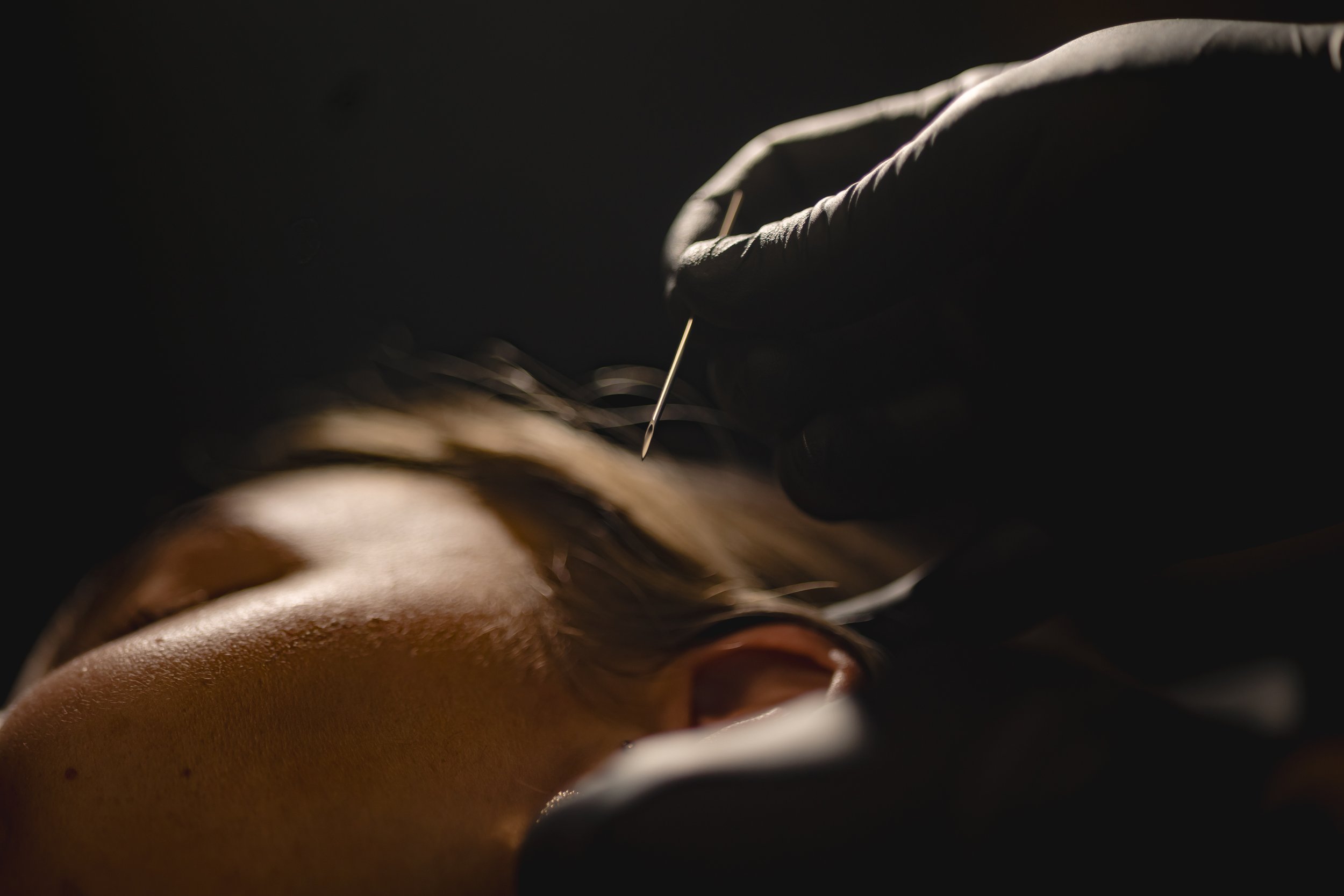 Closeup of Iggy Luppino performing a helix piercing at Sink or Swim Tattoo and Piercing in Niagara Falls, NY