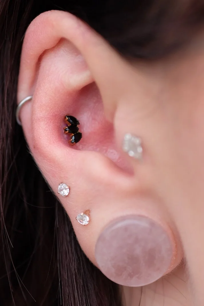 Iggy-Luppino-conch-piercing-sink-or-swim-niagara-falls-ny.JPG