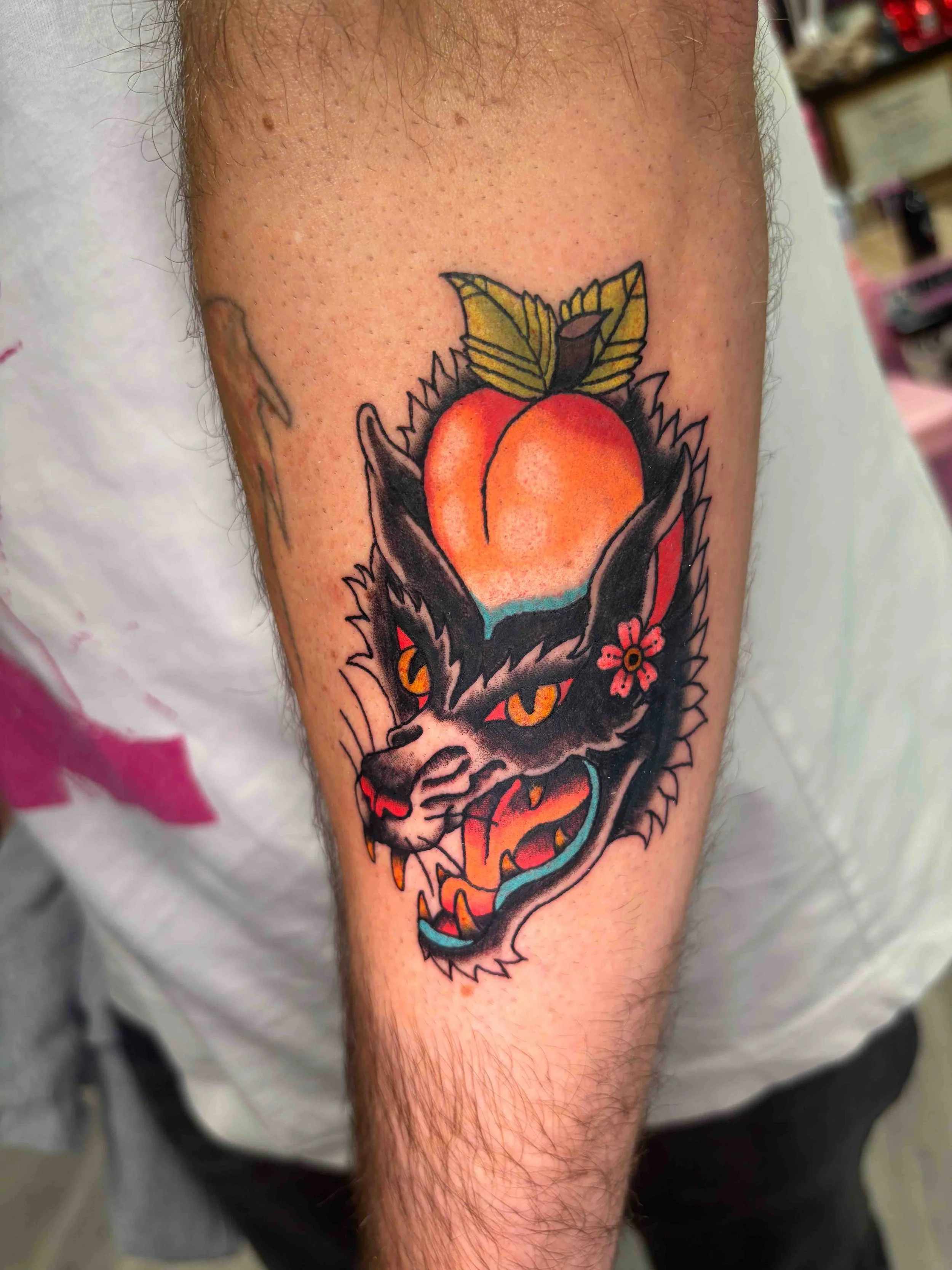 American Traditional wolf with peach in color on forearm by AK Zaionz at Sink or Swim in Niagara Falls NY