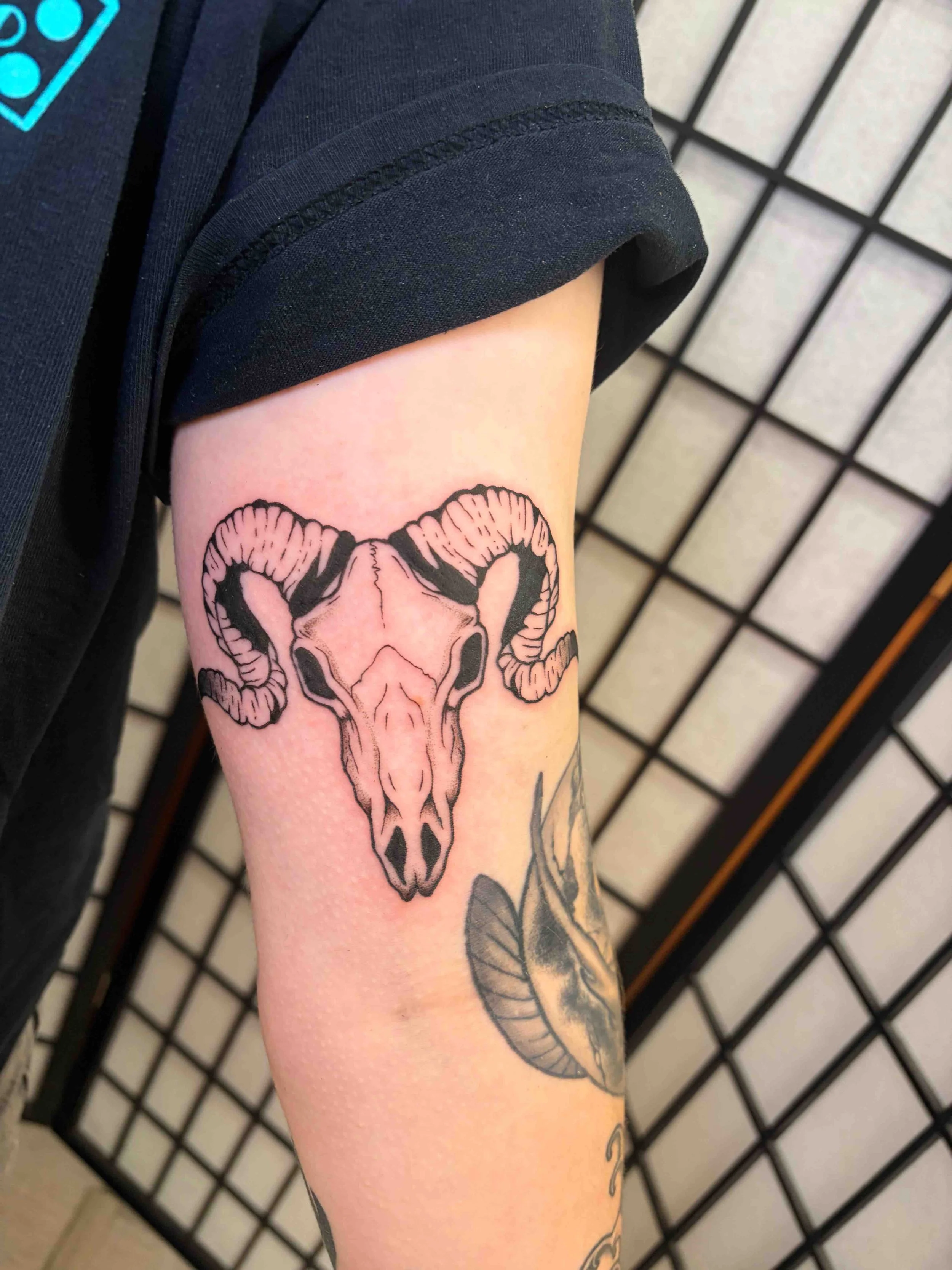 custom-black-and grey-ram-skull-tattoo-sink-or-swim-niagara-falls-ny.jpg