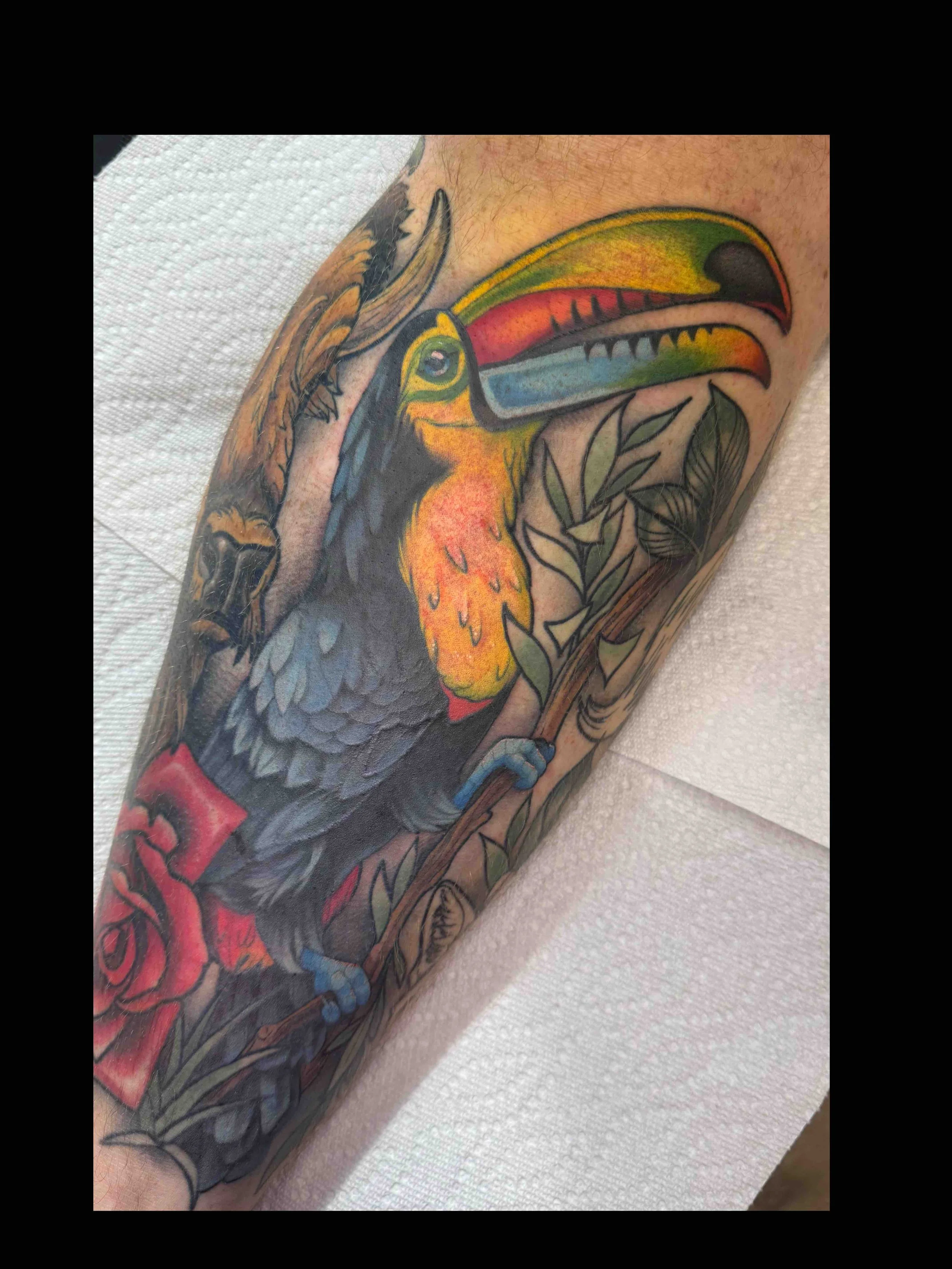 Neo traditional Toucan jungle bird tattoo in color portfolio work by Shannon Kuzara at Sink or Swim Tattoo and Piercing in Niagara Falls NY