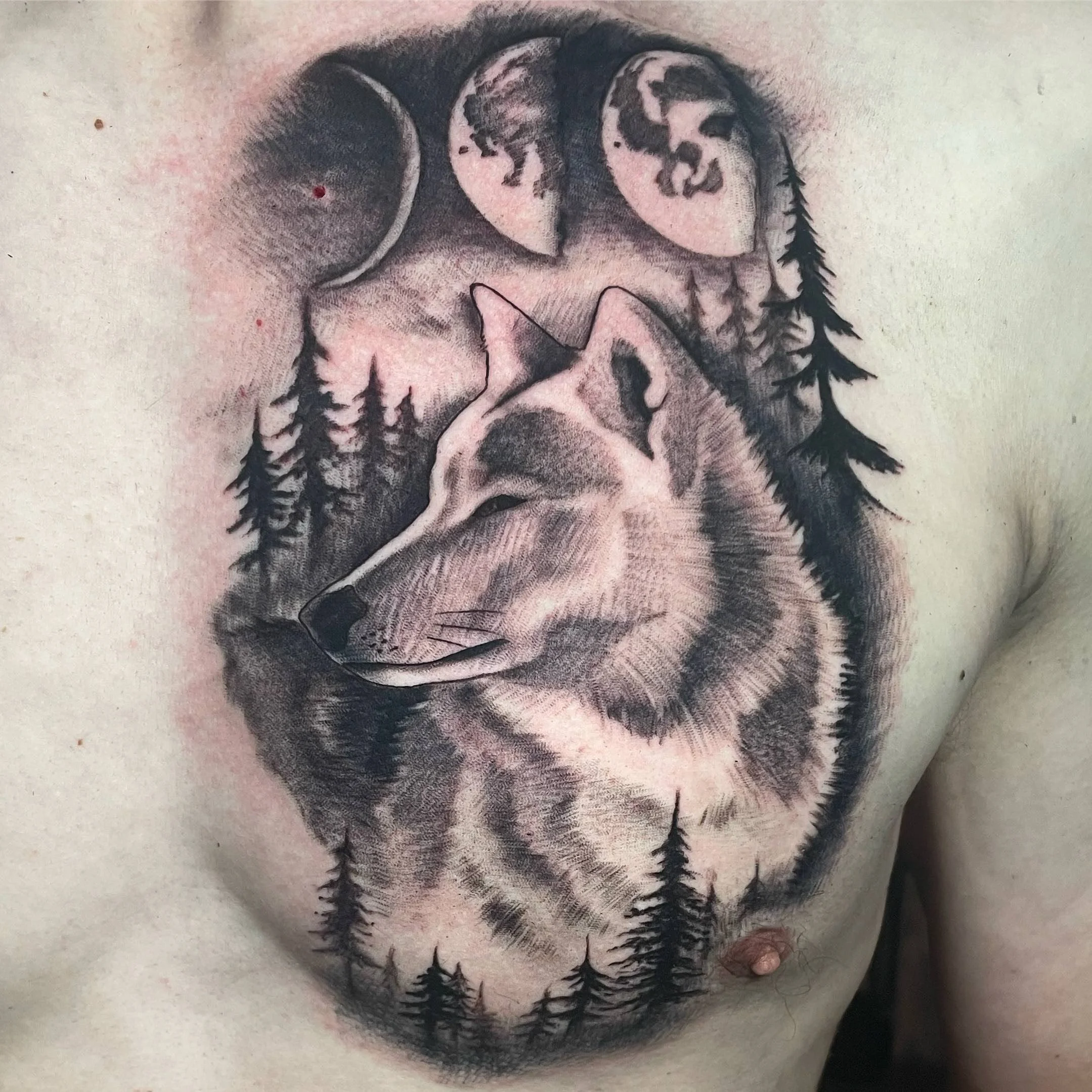 Black and grey illustrative wolf tattoo, portfolio work by Emily Quartley at Sink or Swim Tattoo and Piercing in Niagara Falls, NY