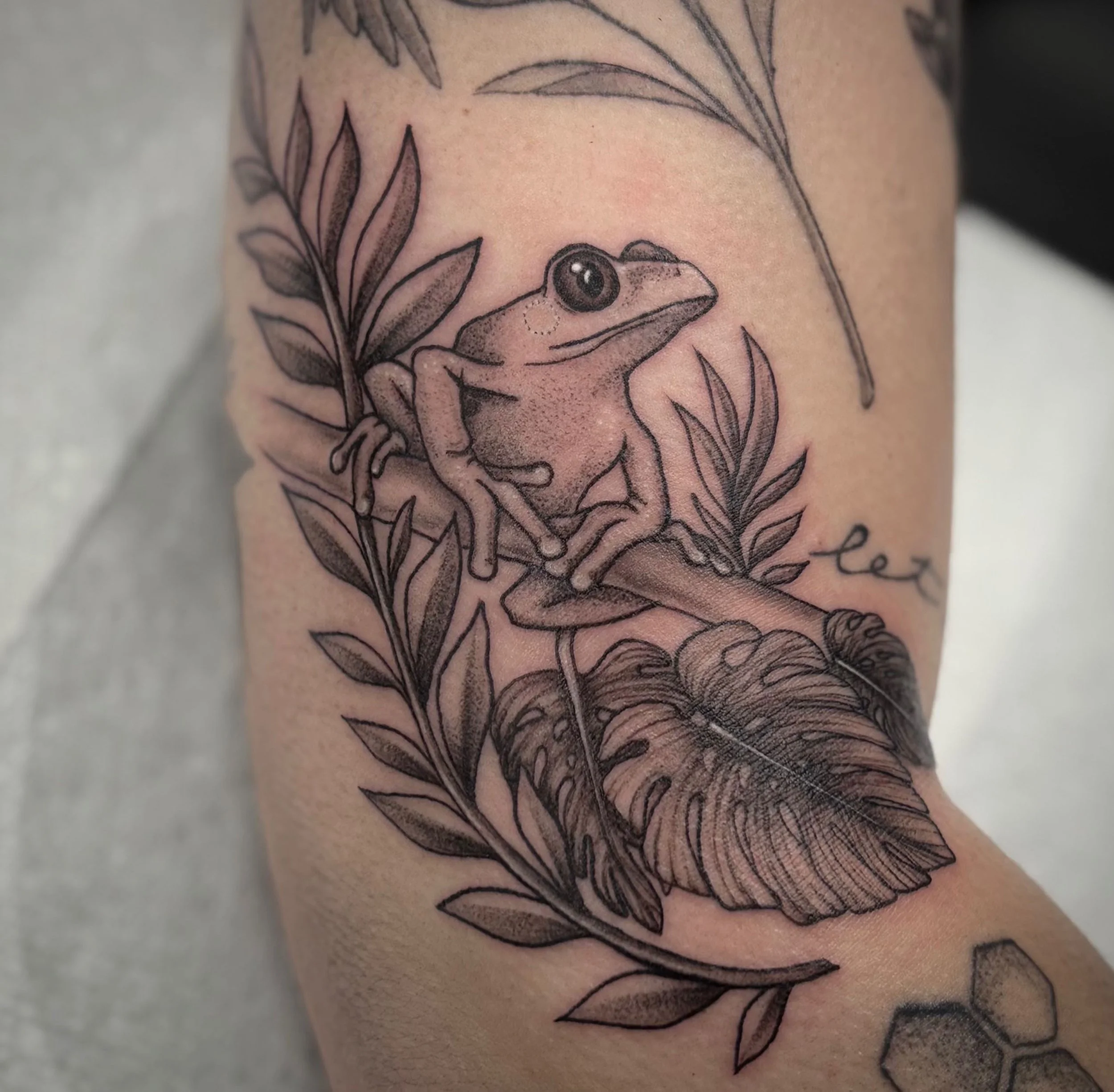 black and grey fine line, frog tattoo , portfolio work by Brooke Canzoneri at sink or swim tattoo and piercing in Niagara Falls, ny