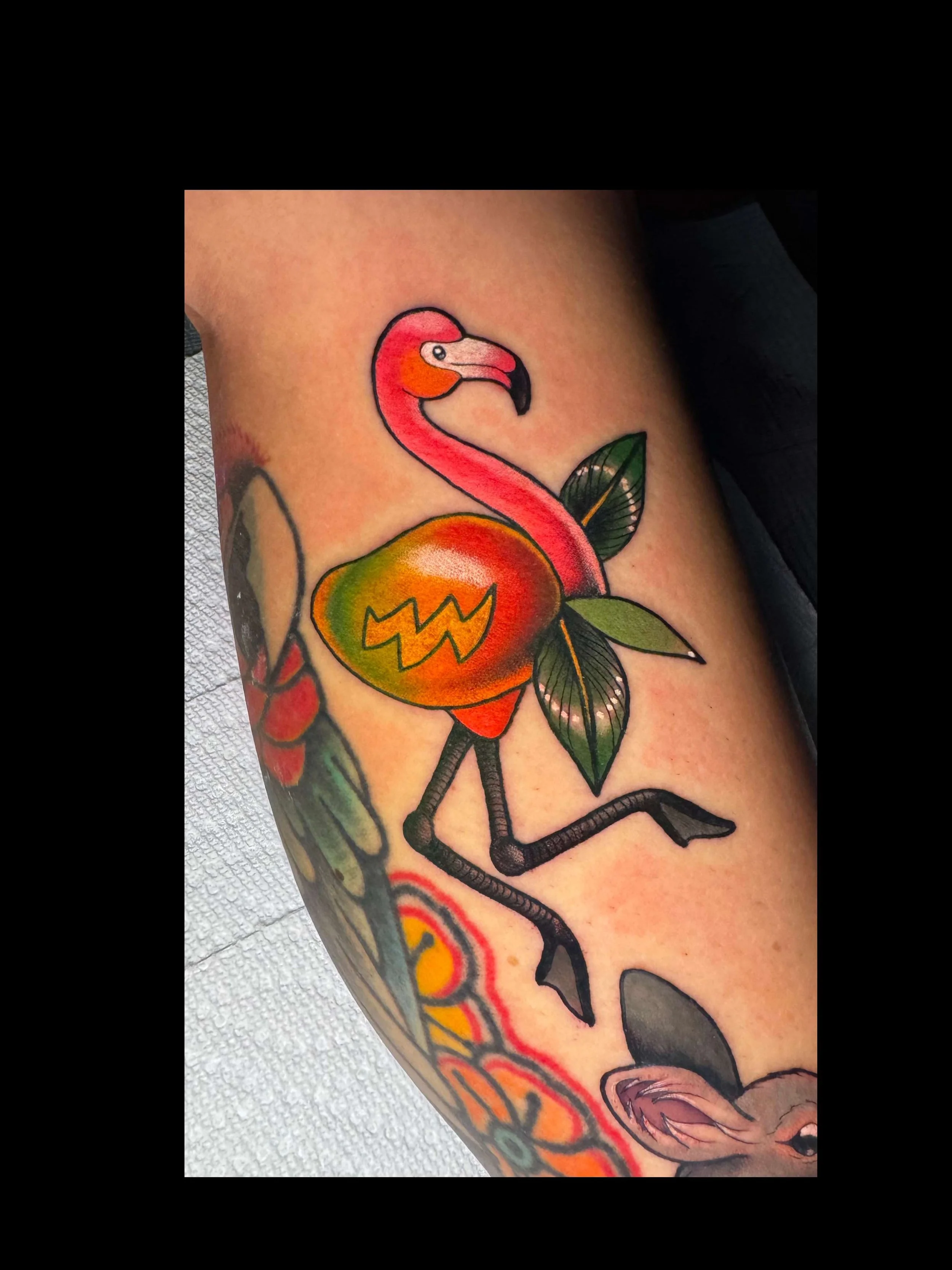 Neo traditional "Fla-mango" tattoo in color portfolio work by Shannon Kuzara at Sink or Swim Tattoo and Piercing in Niagara Falls NY
