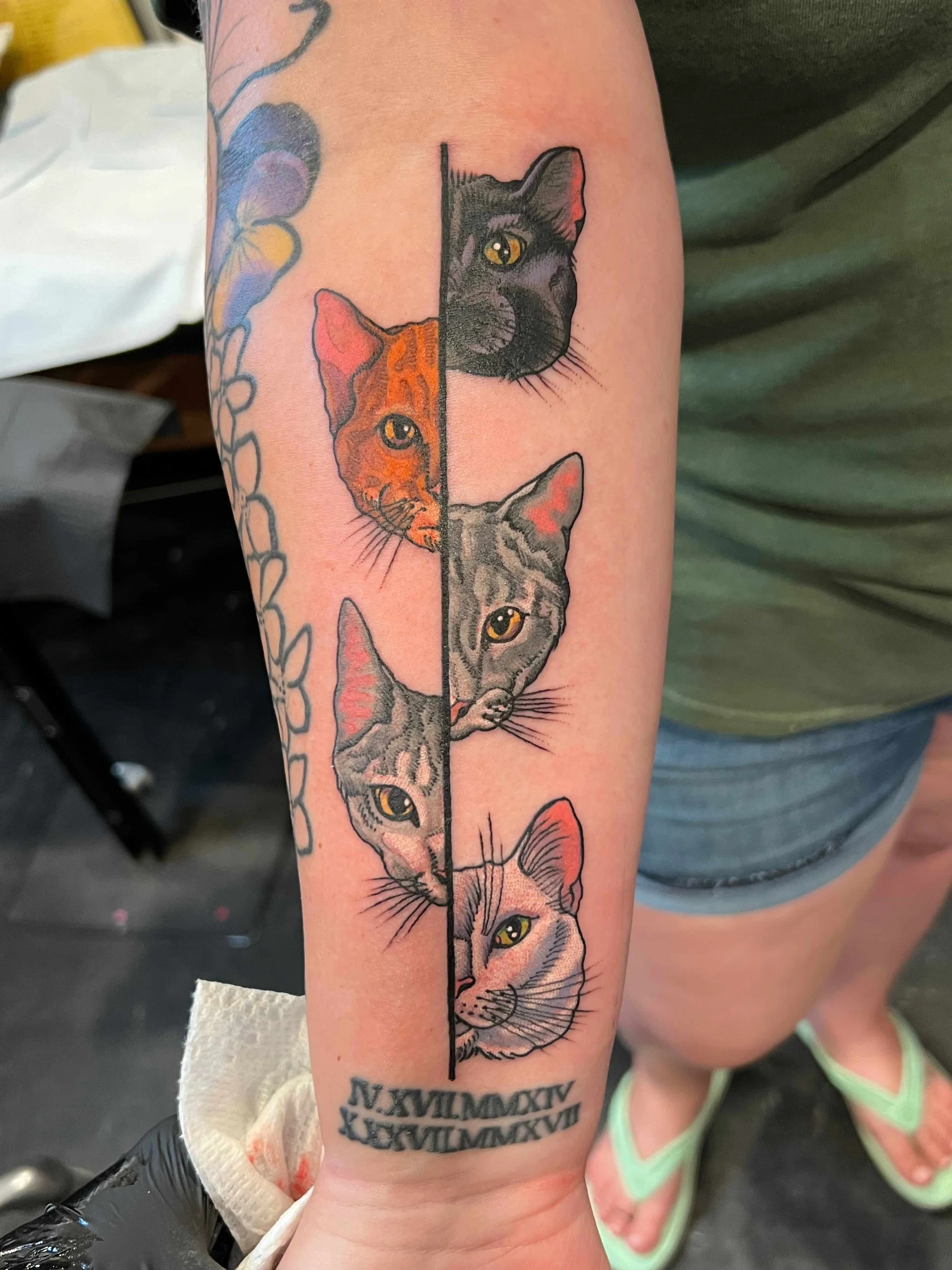 arm tattoo of four cats, portfolio work by Sam Sullivan at Sink or Swim Tattoo and Piercing in Niagara Falls, NY