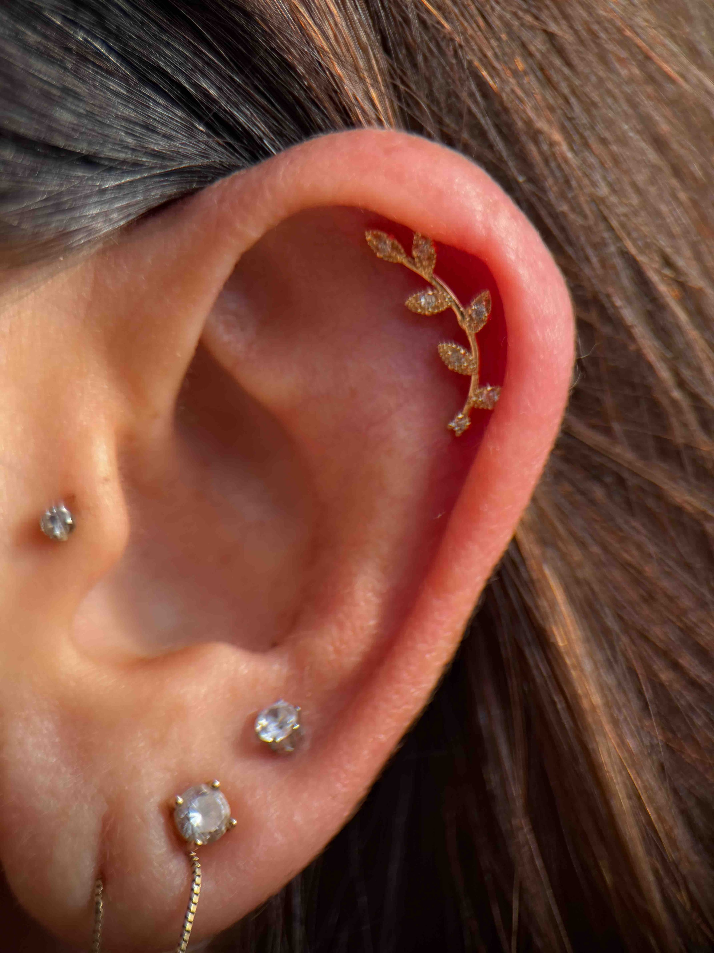Iggy-Luppino-tragus-piercing-sink-or-swim-niagara-falls-ny.jpg