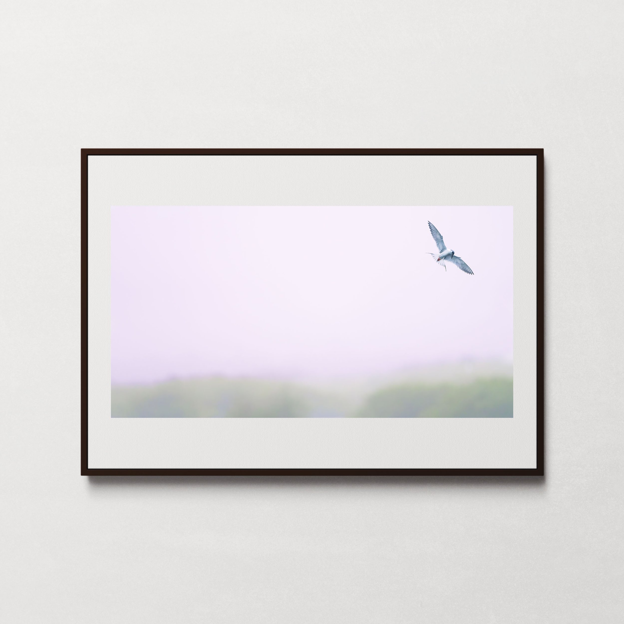 Flying Free-1.jpg