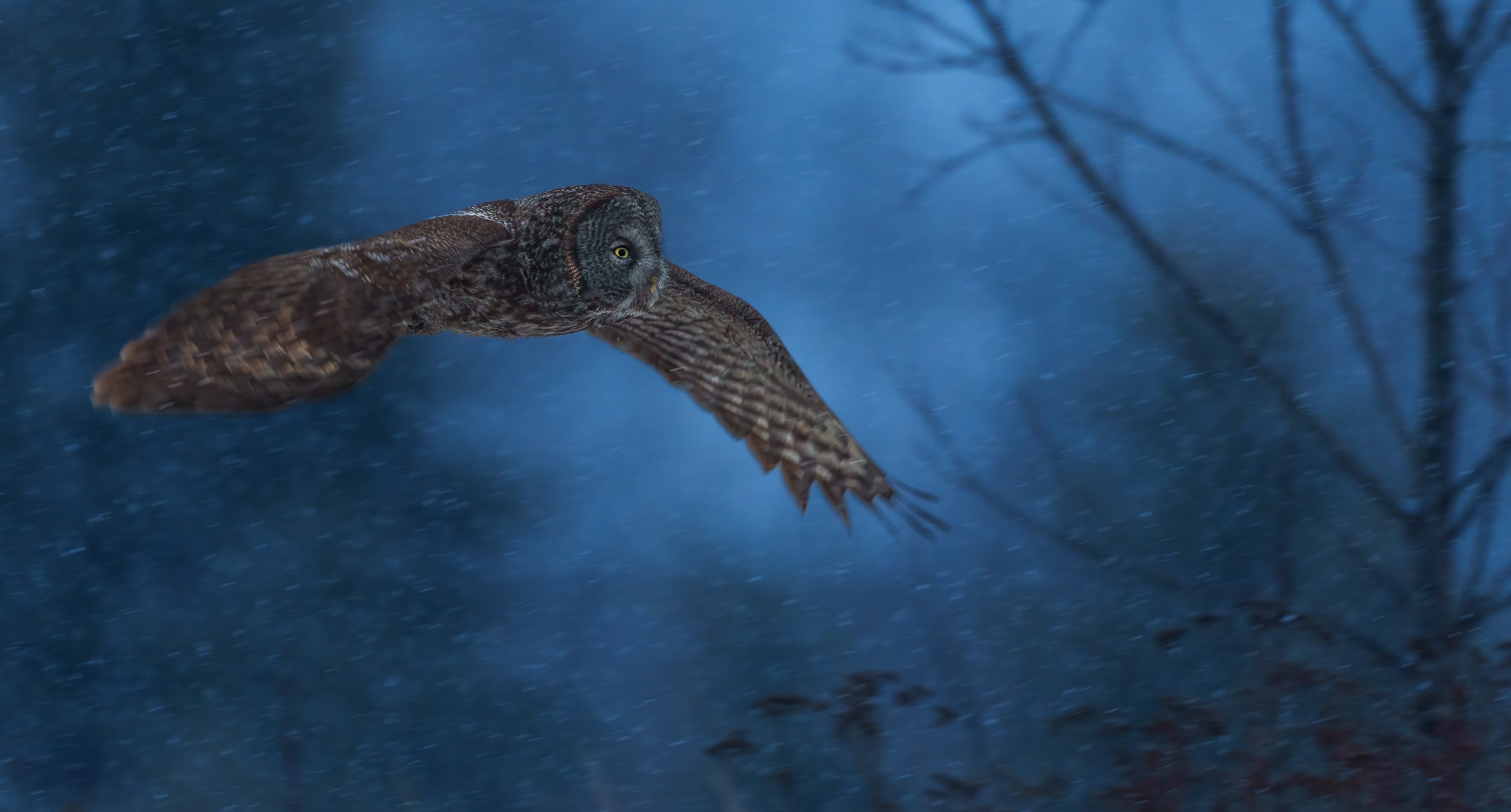 On the Hunt