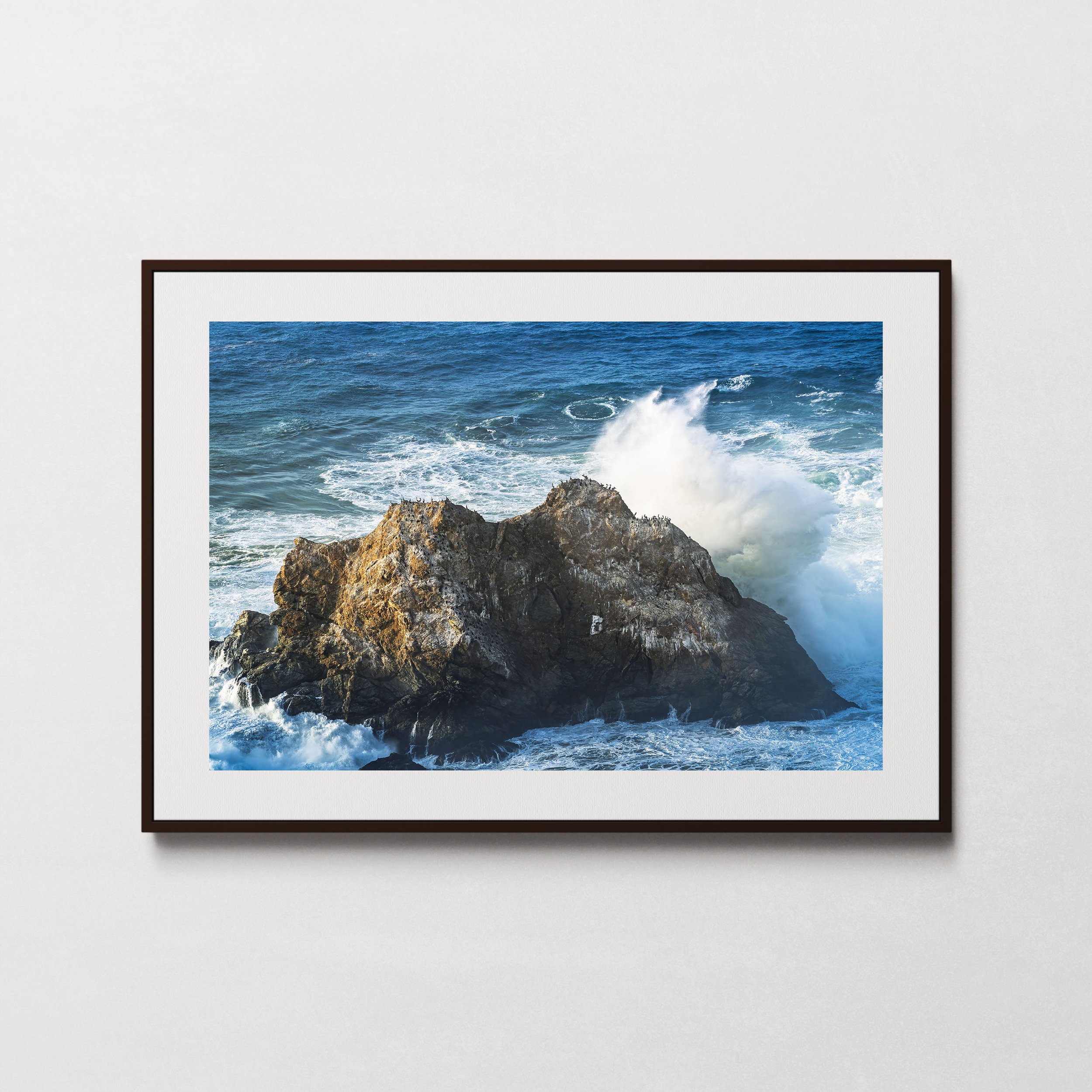 Pelicans at the Big Sur-1.jpg