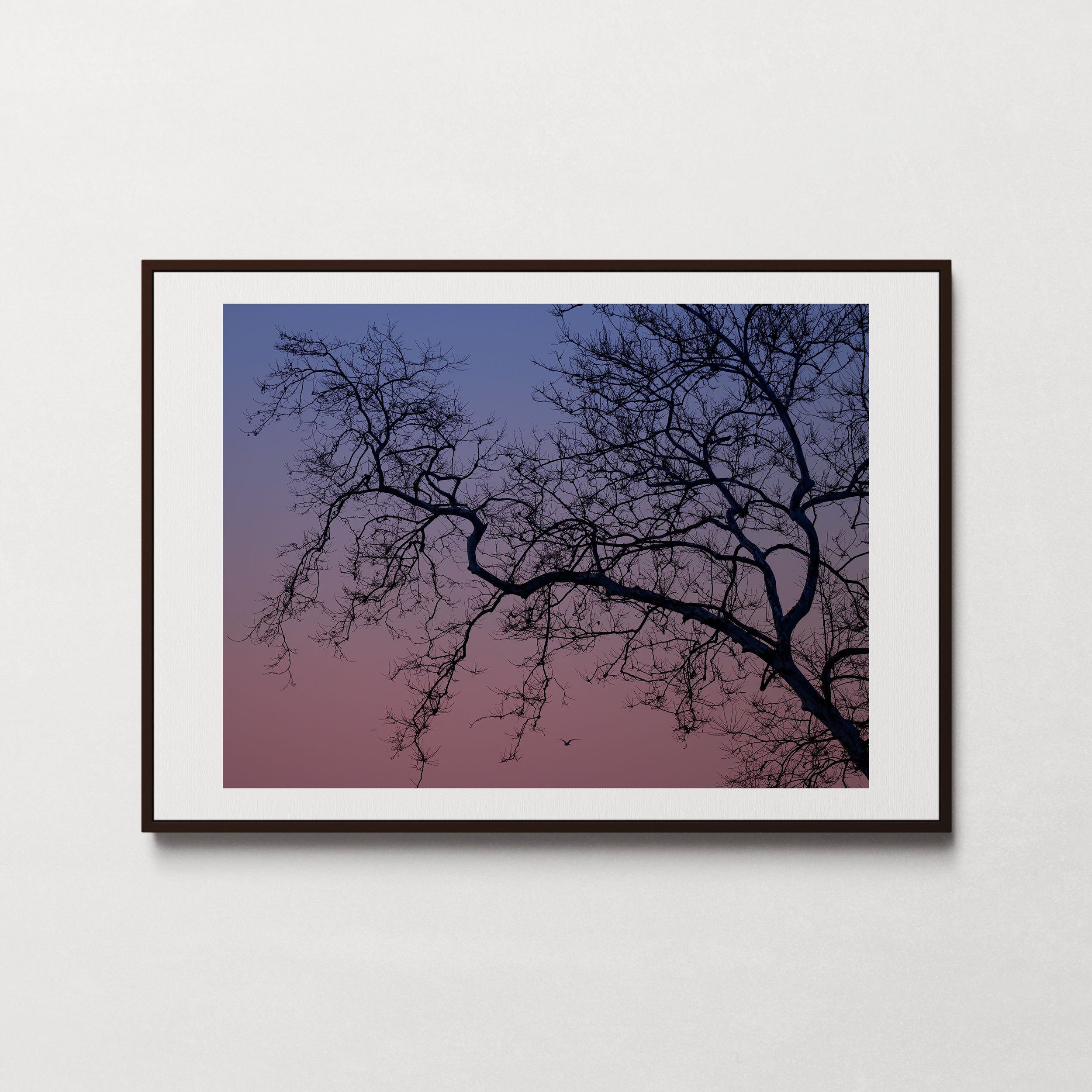 Twilight-1.jpg