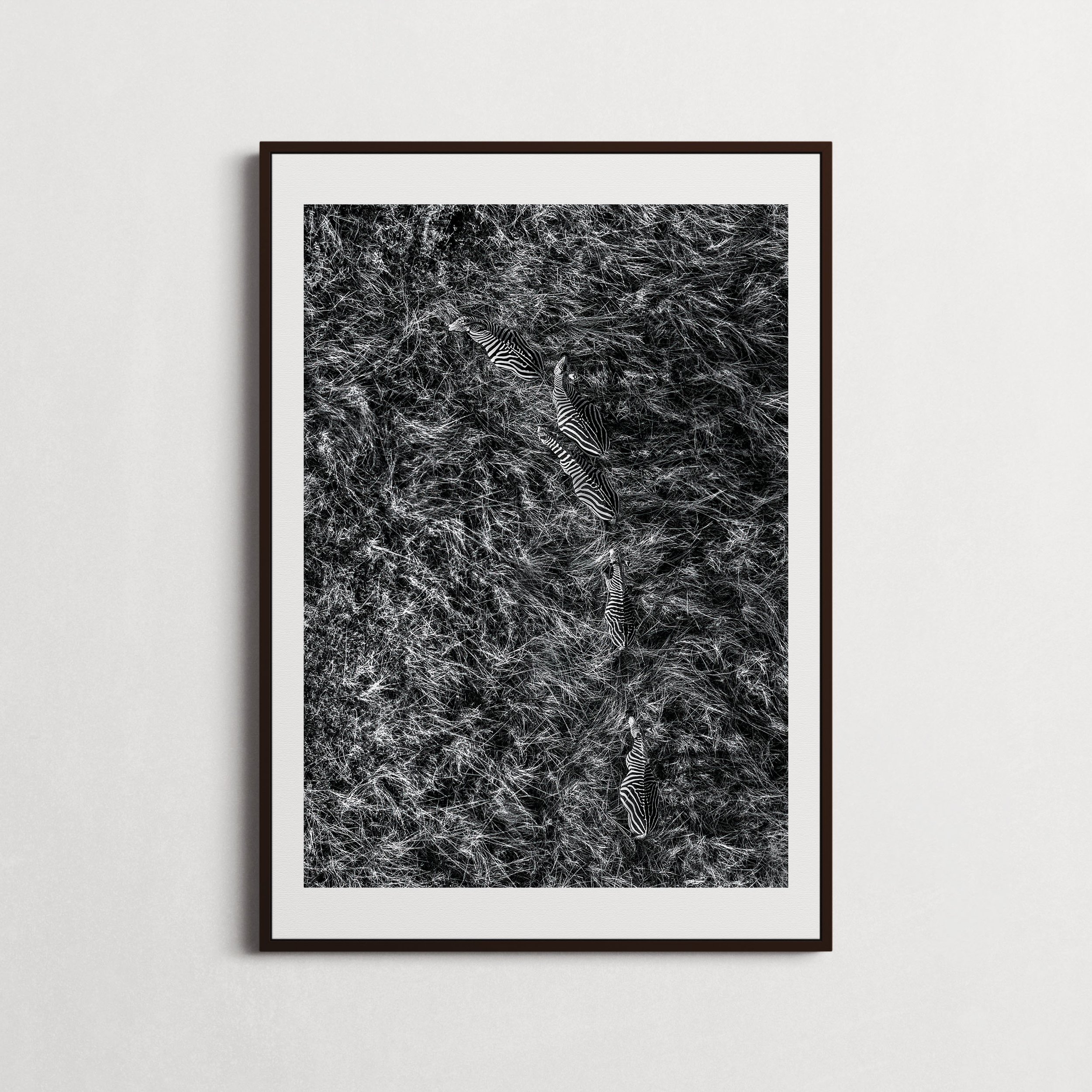 Waves of Grass-1.jpg