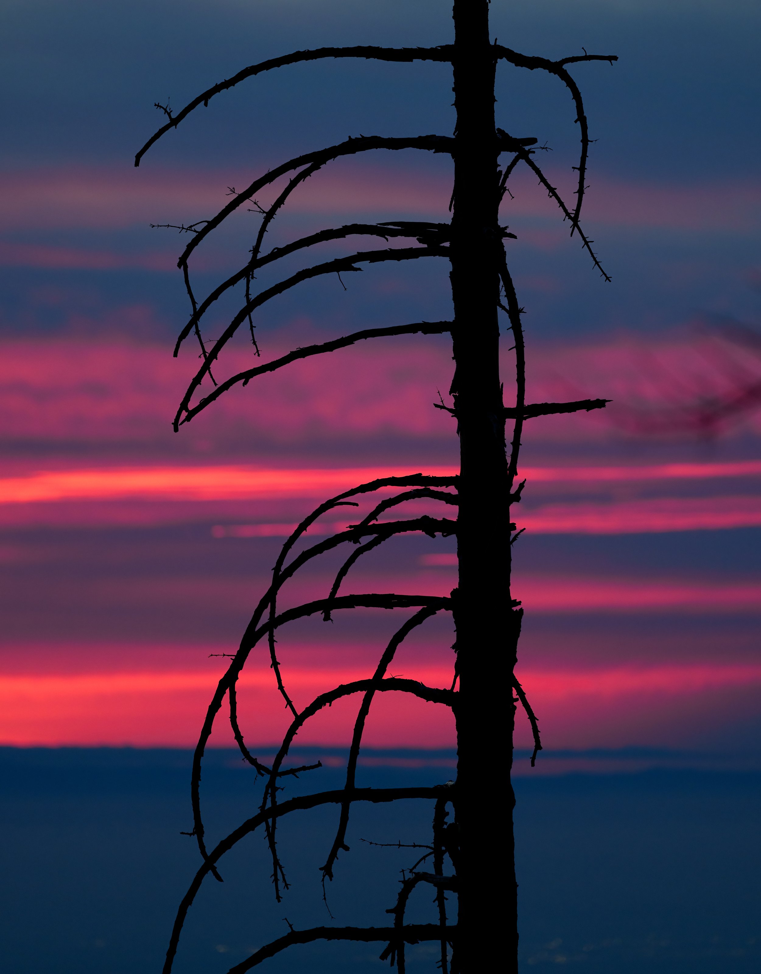 Crimson Sky
