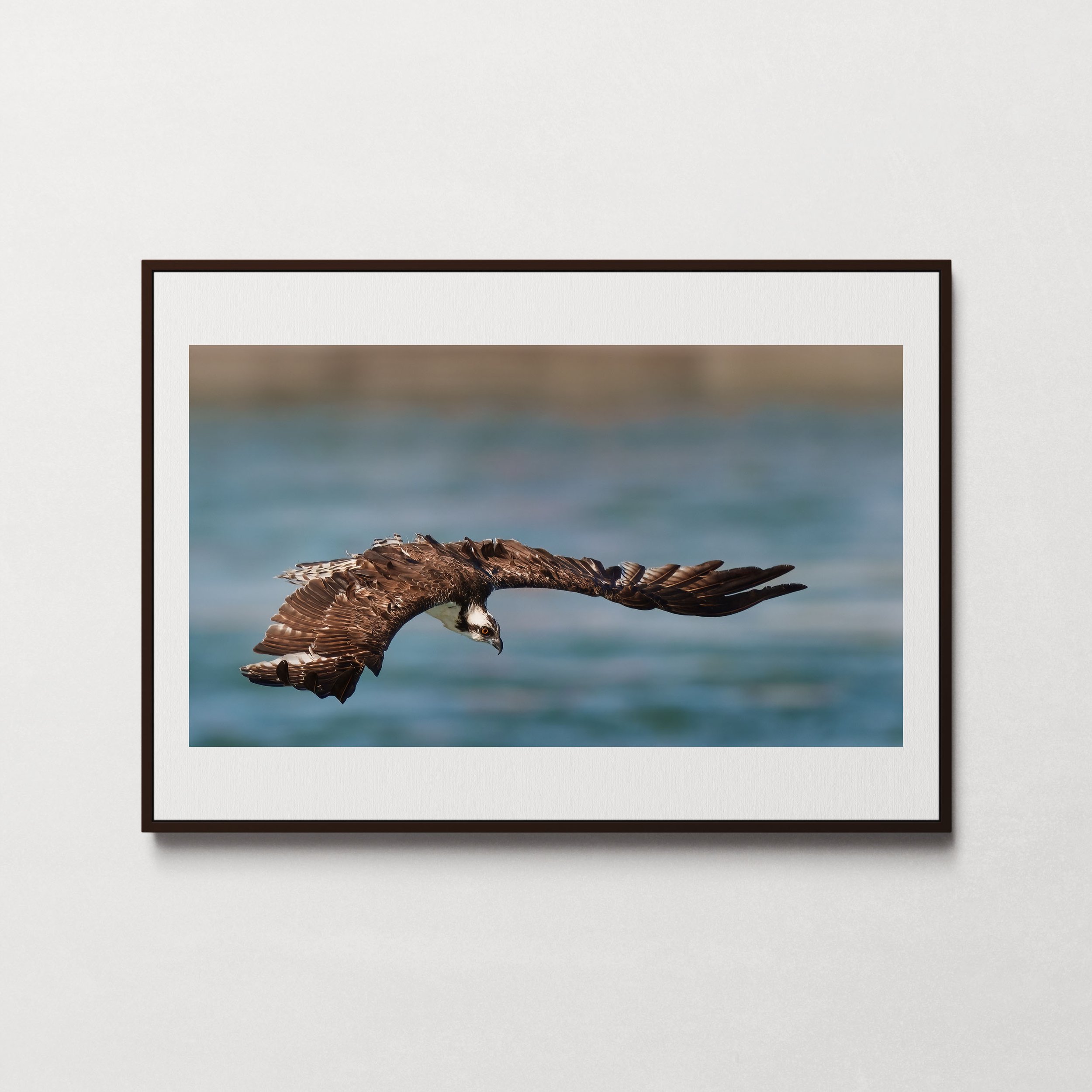 Under My Watchful Eyes-1.jpg