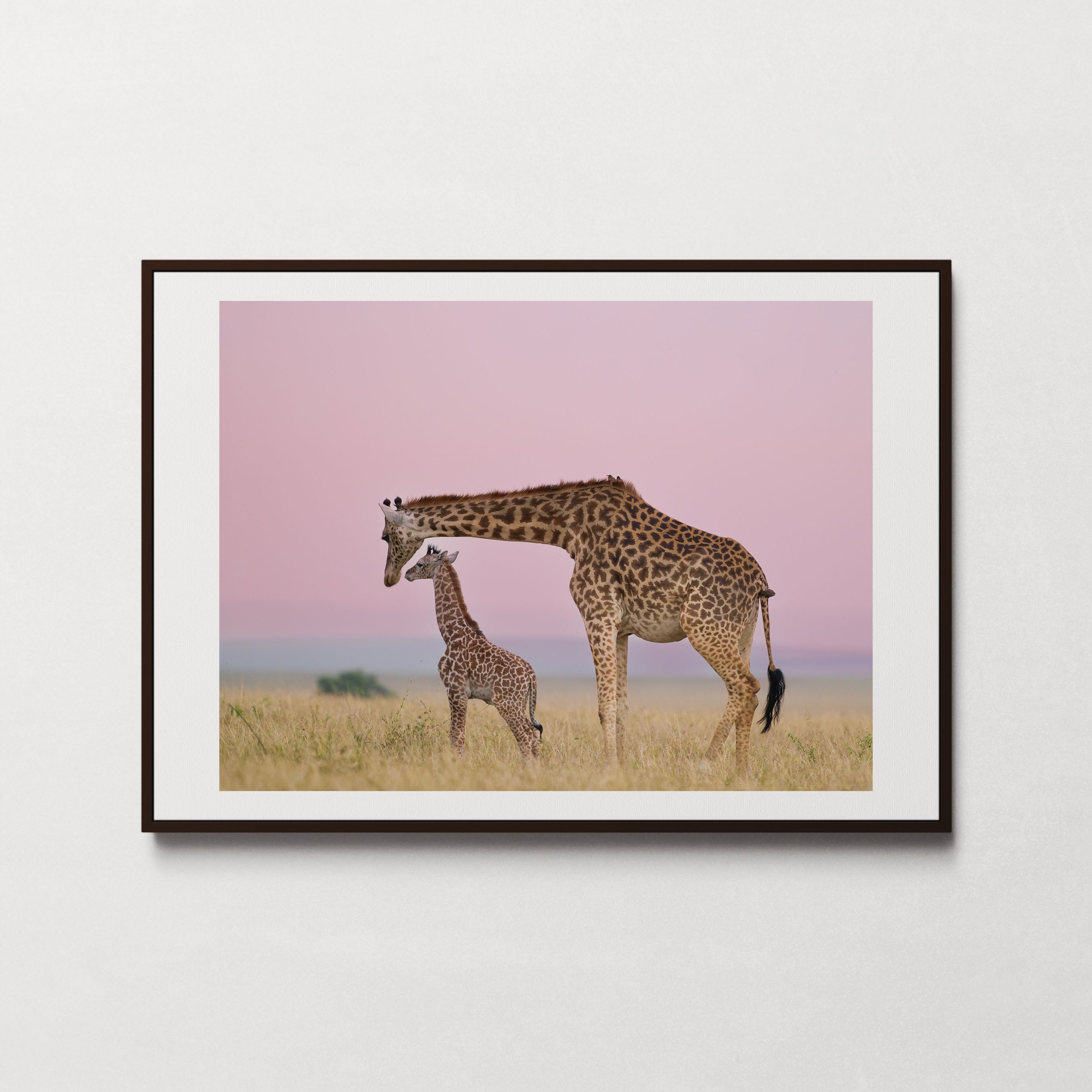 Mother is Here-1.jpg