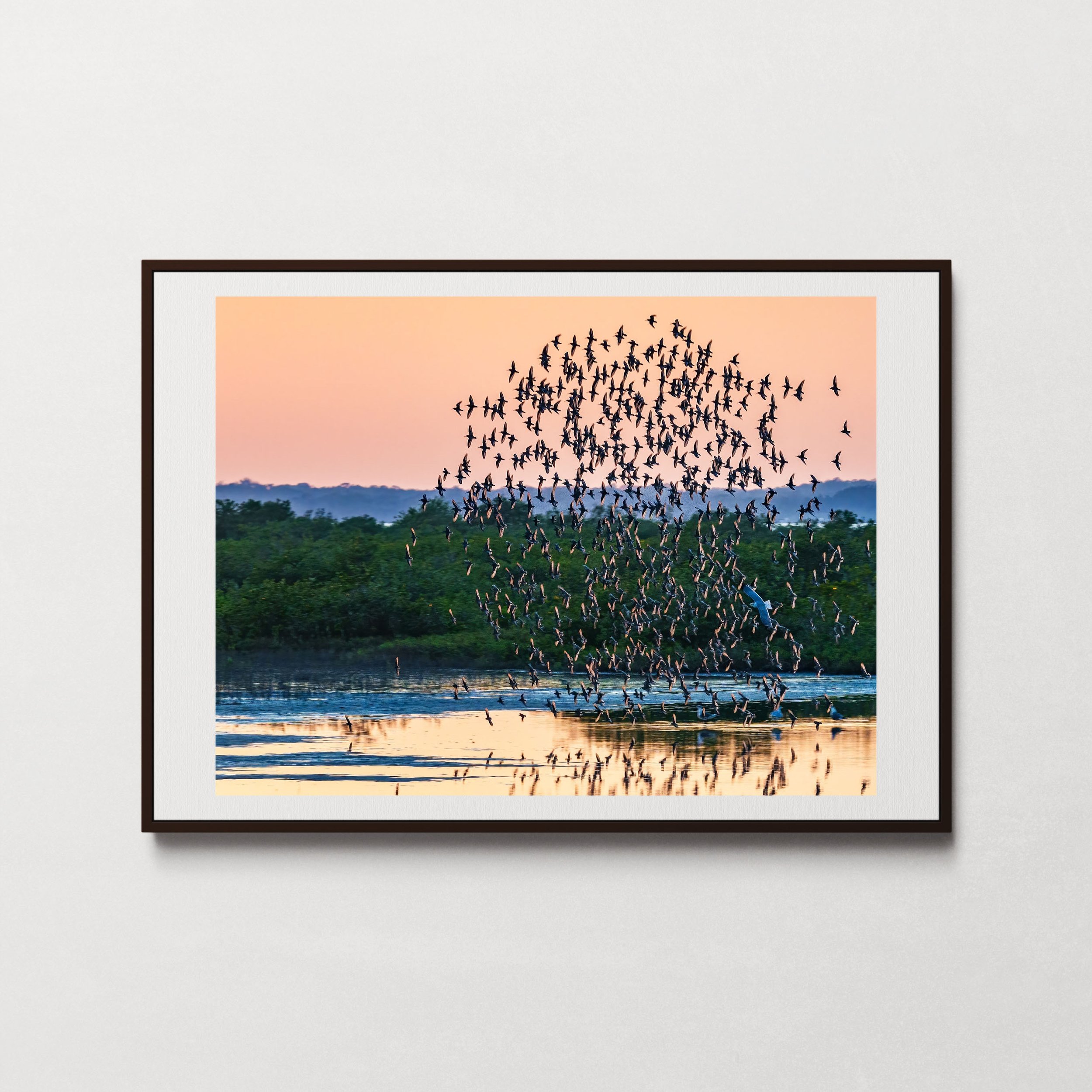 The Flock-1.jpg