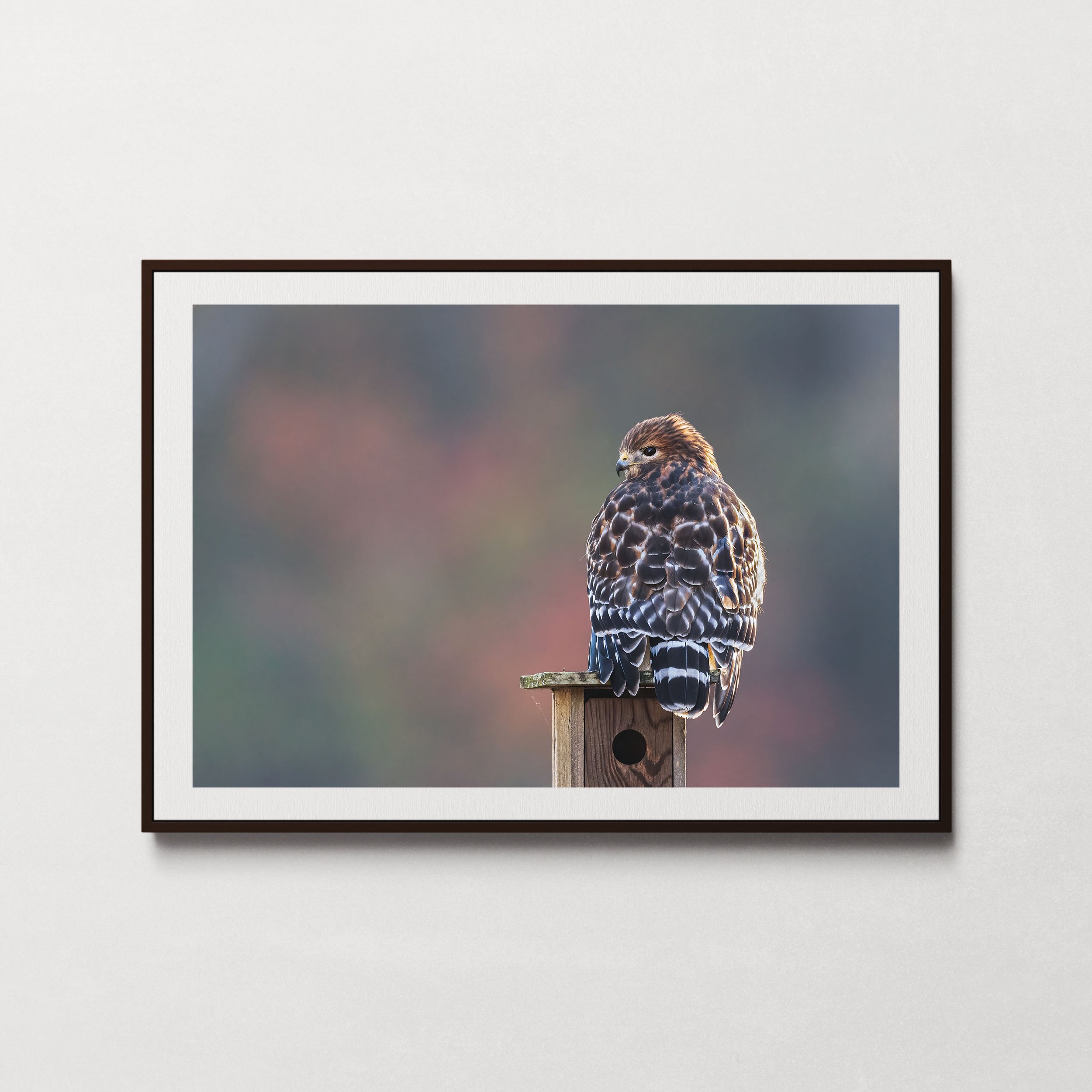 Waiting in Fall-1.jpg