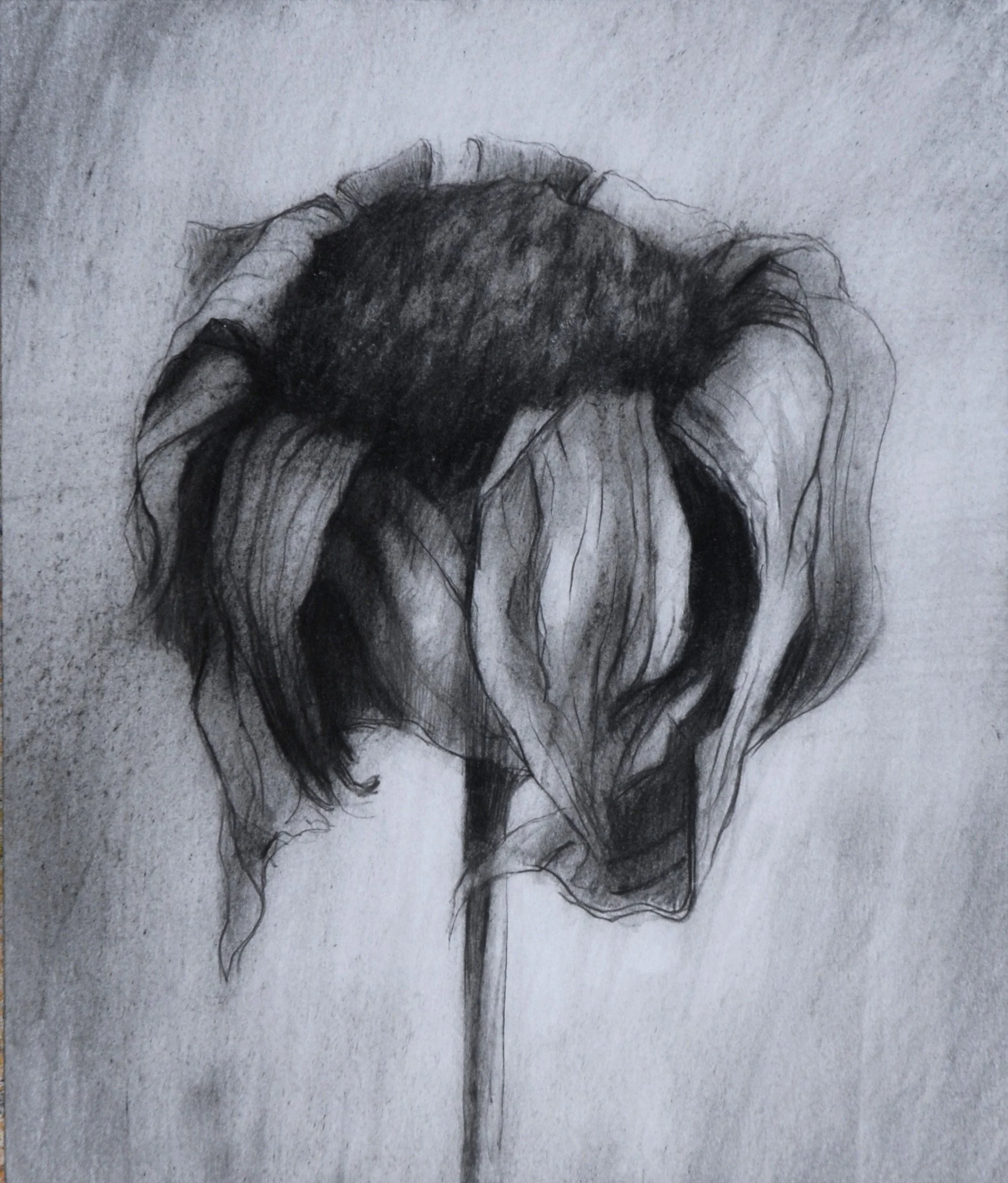 26 x 22cm. Graphite.