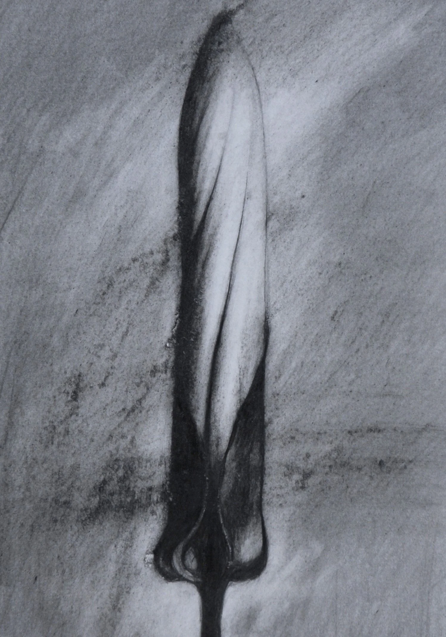 26 x 18cm. Graphite.