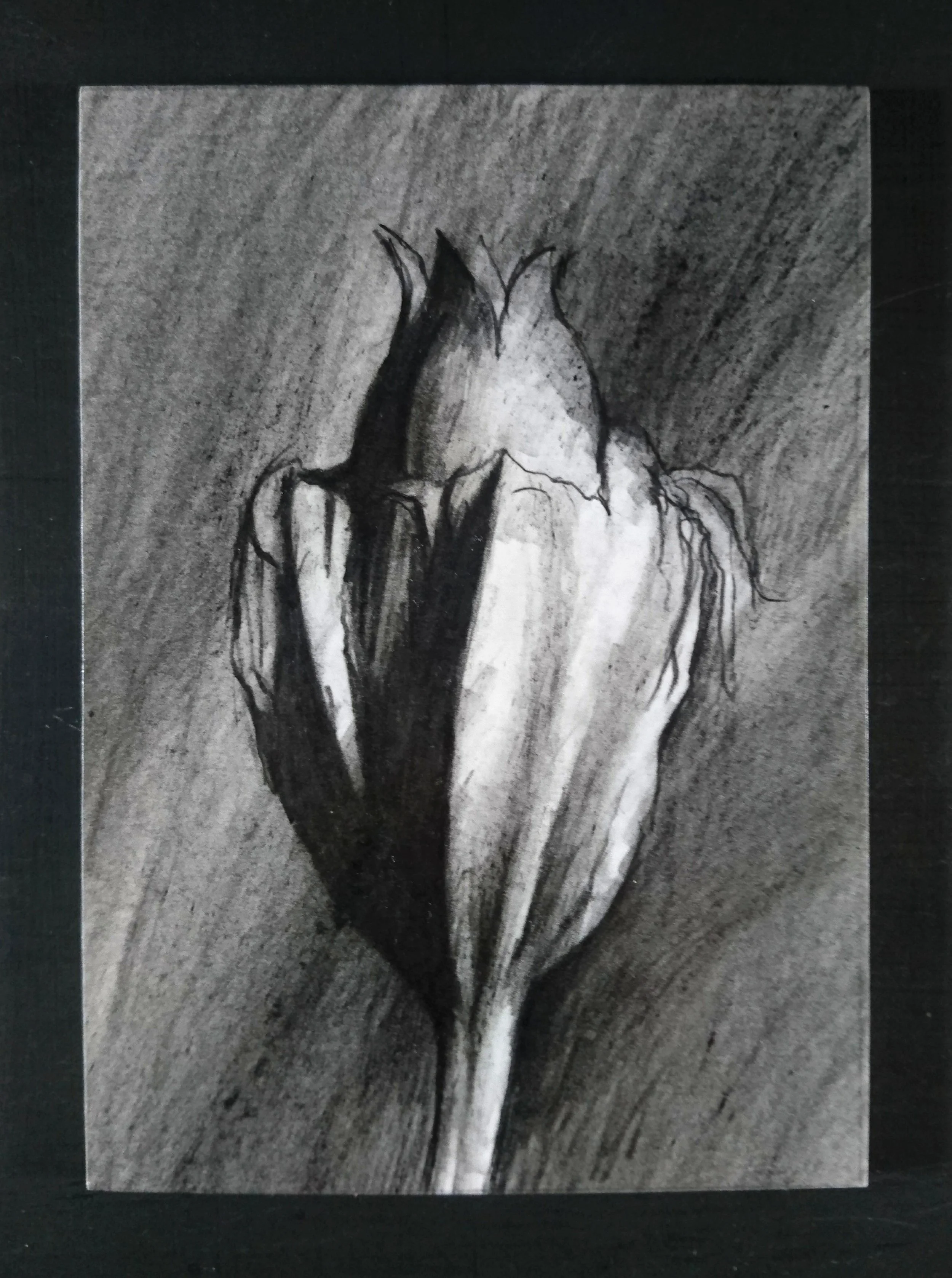 For Abdul Rahman Jalal Moin Al-Harkali. Killed in Gaza. He was six years old.