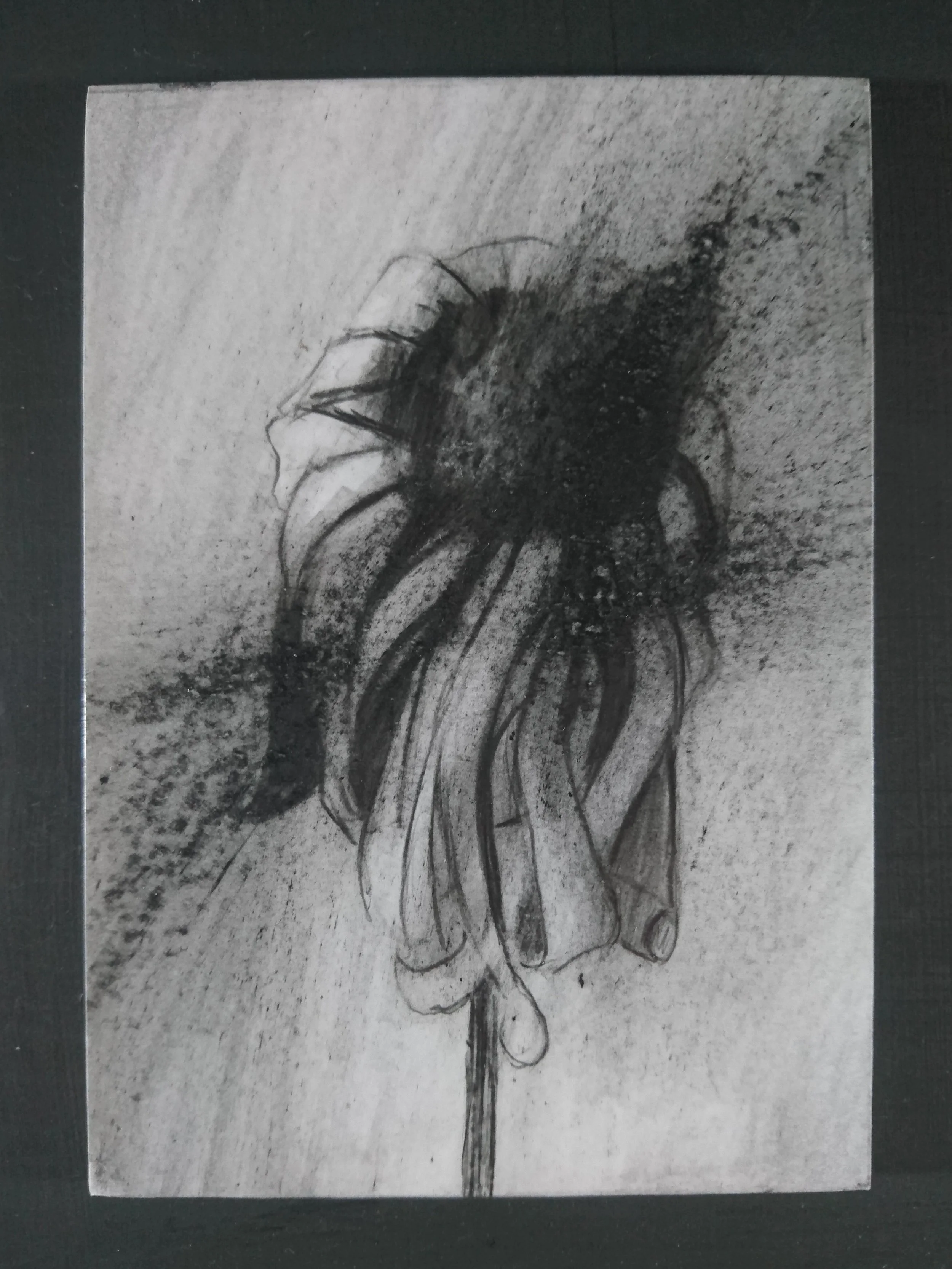 For Basma Omar Zuhair Al-Daour. Killed in Gaza. She was five years old.