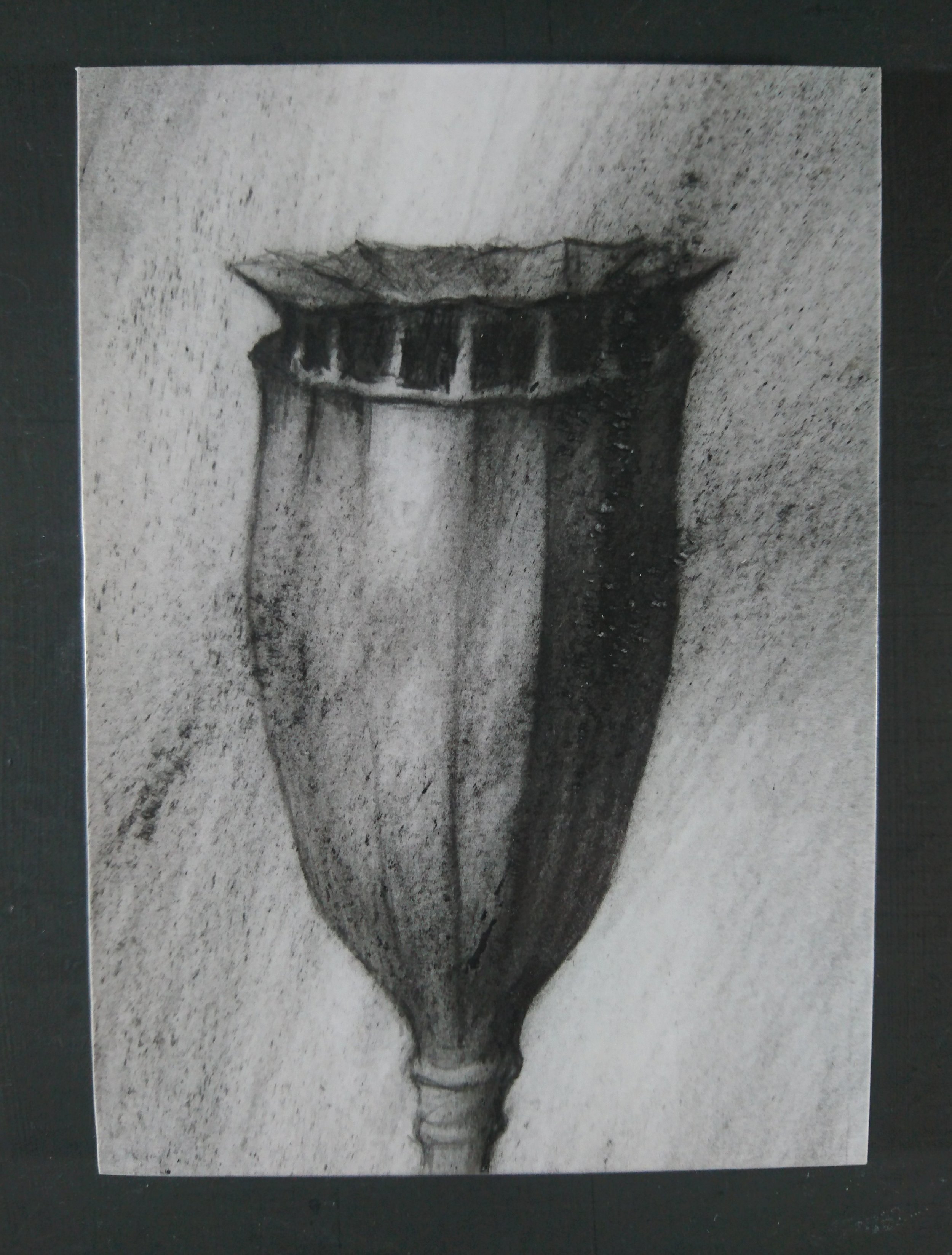 For Lamar Adi Abdel Jawad Abu Ras. Killed in Gaza. He was four years old.