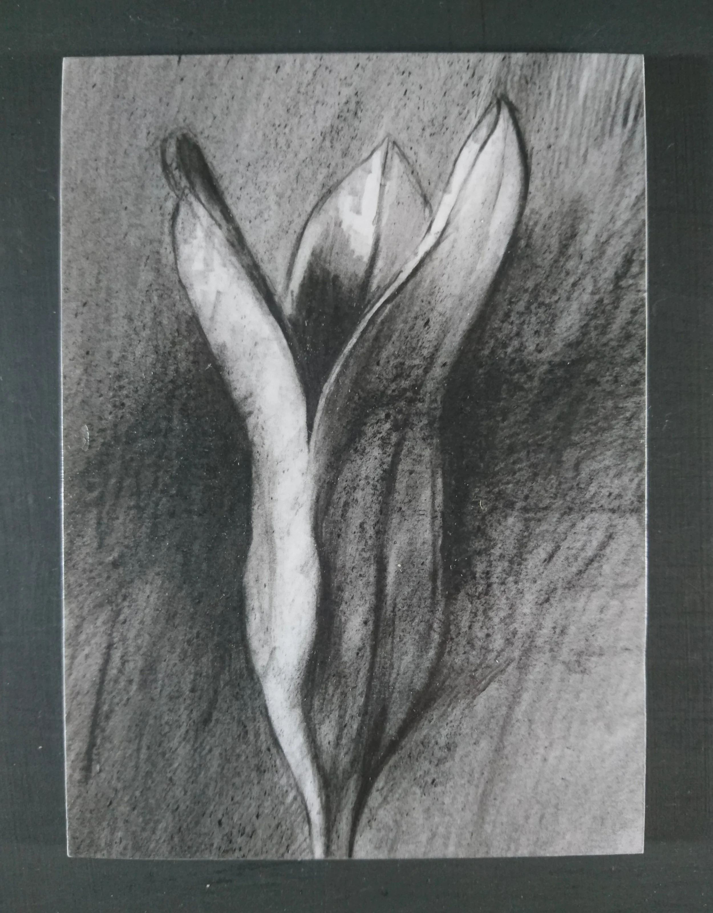 For Raed Ibrahim Al-Sawalhi. Killed in Gaza. She was three years old.