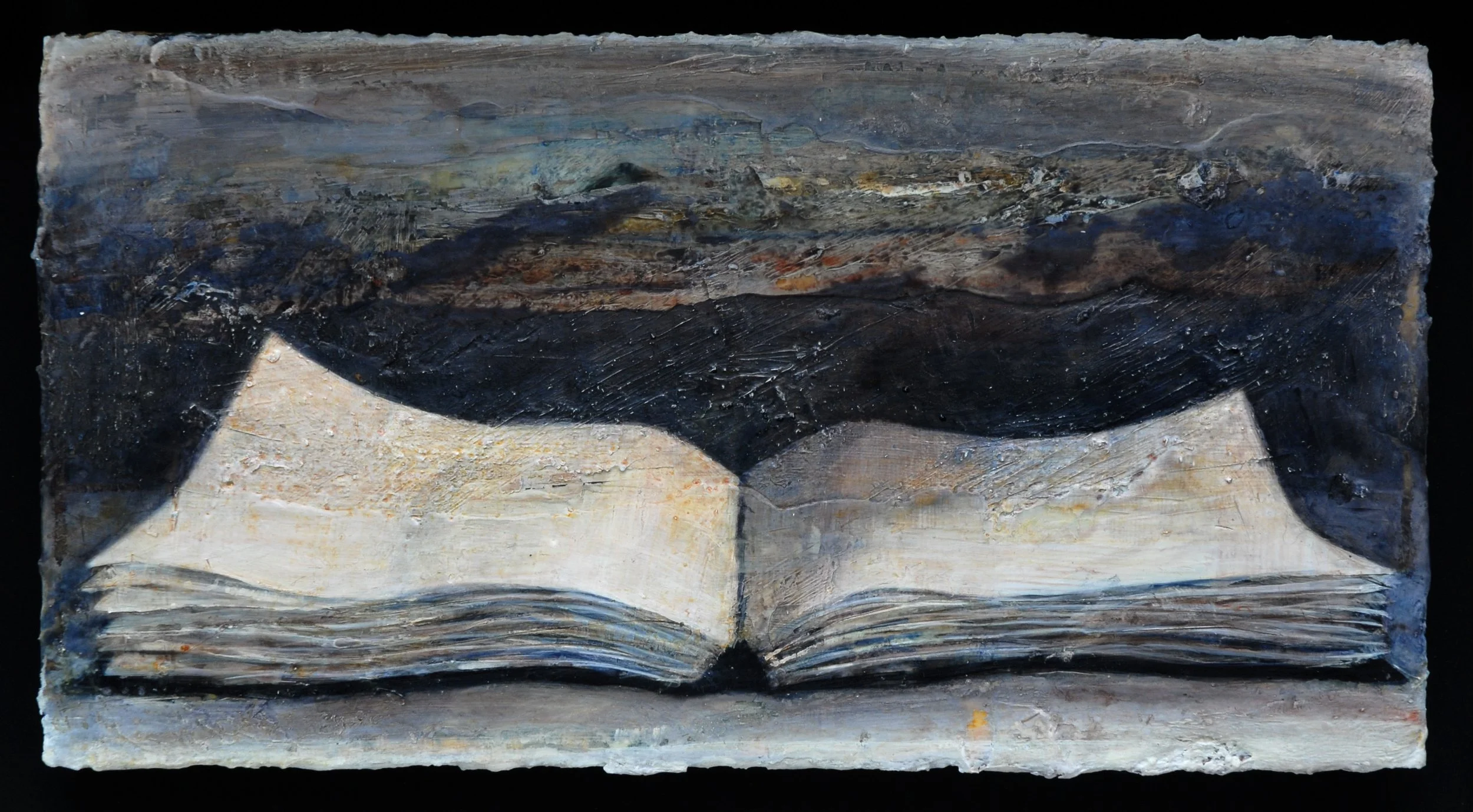 Book 2, 12cm x 23cm, acrylic, wax