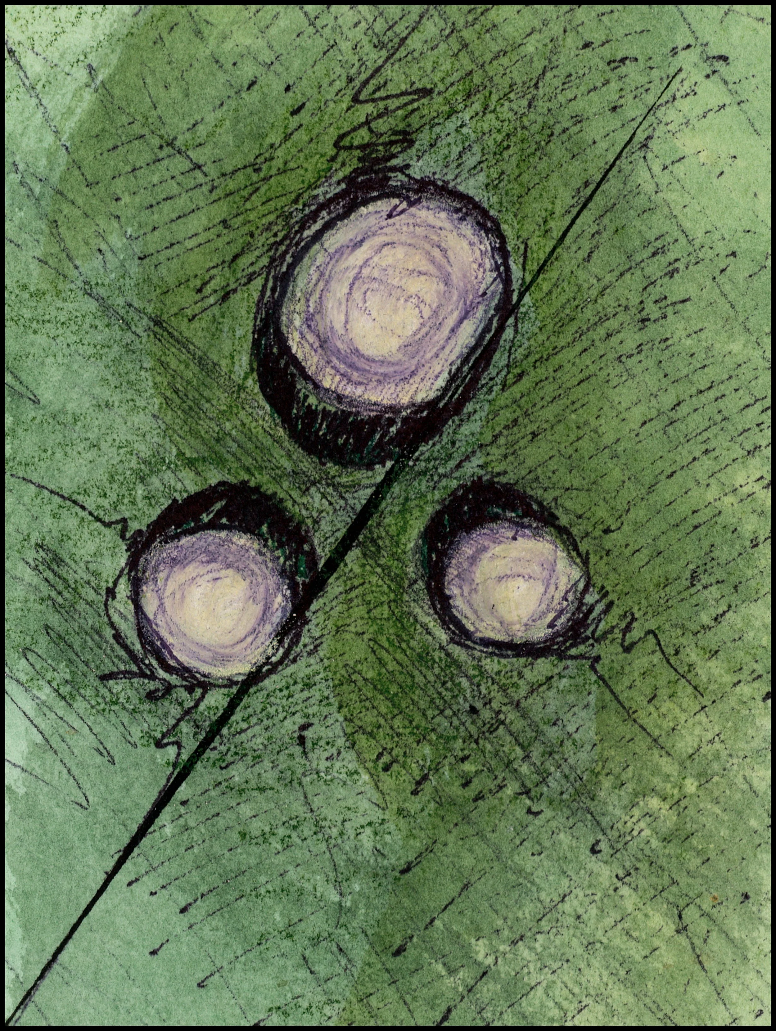 Charleston Municipal #13