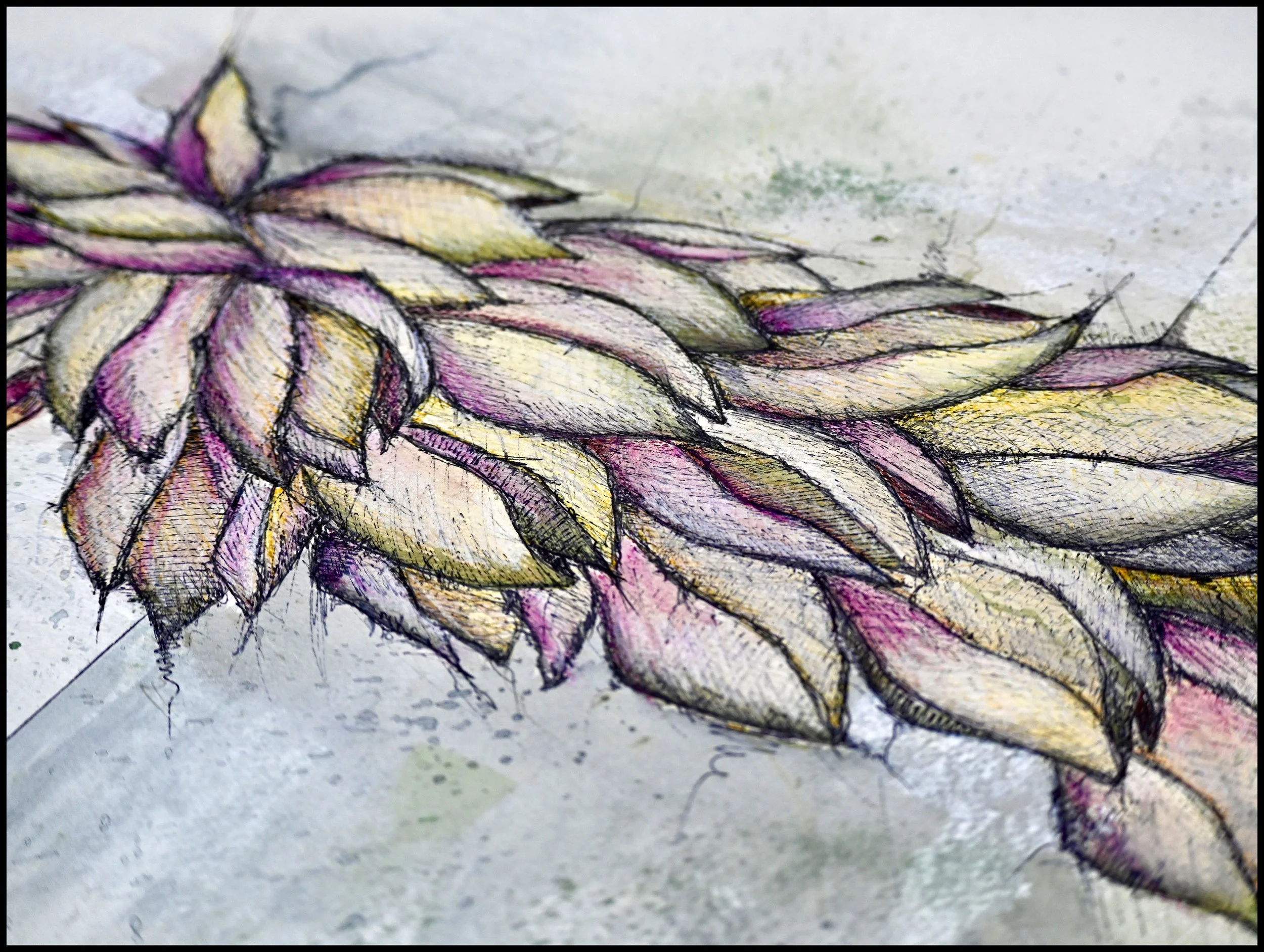 Yucca, Prairie Dunes Country Club