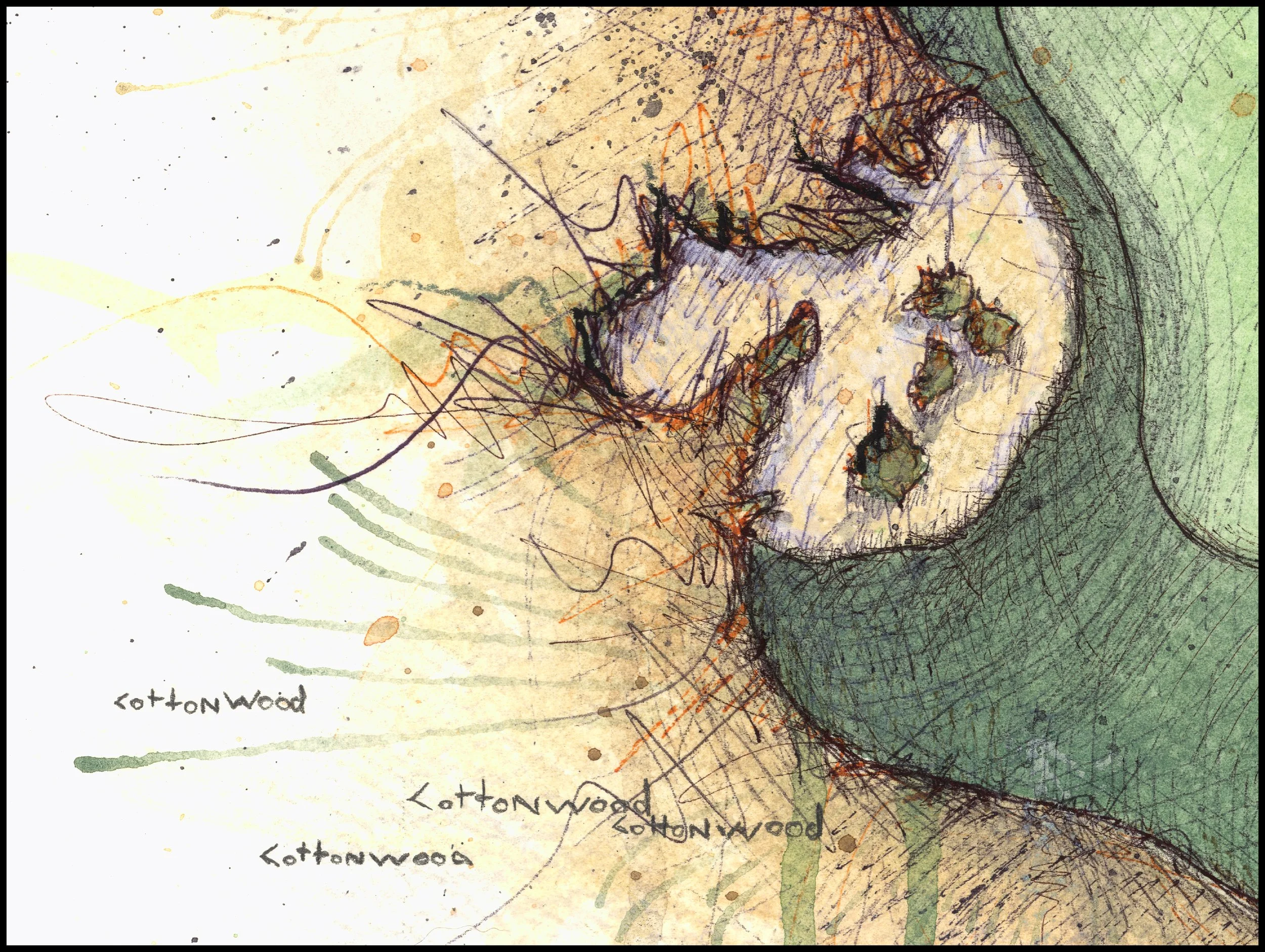 Fine art print of Hole #9 “Meadow Lark” at Prairie Dunes Country Club by Charcoal Golf.