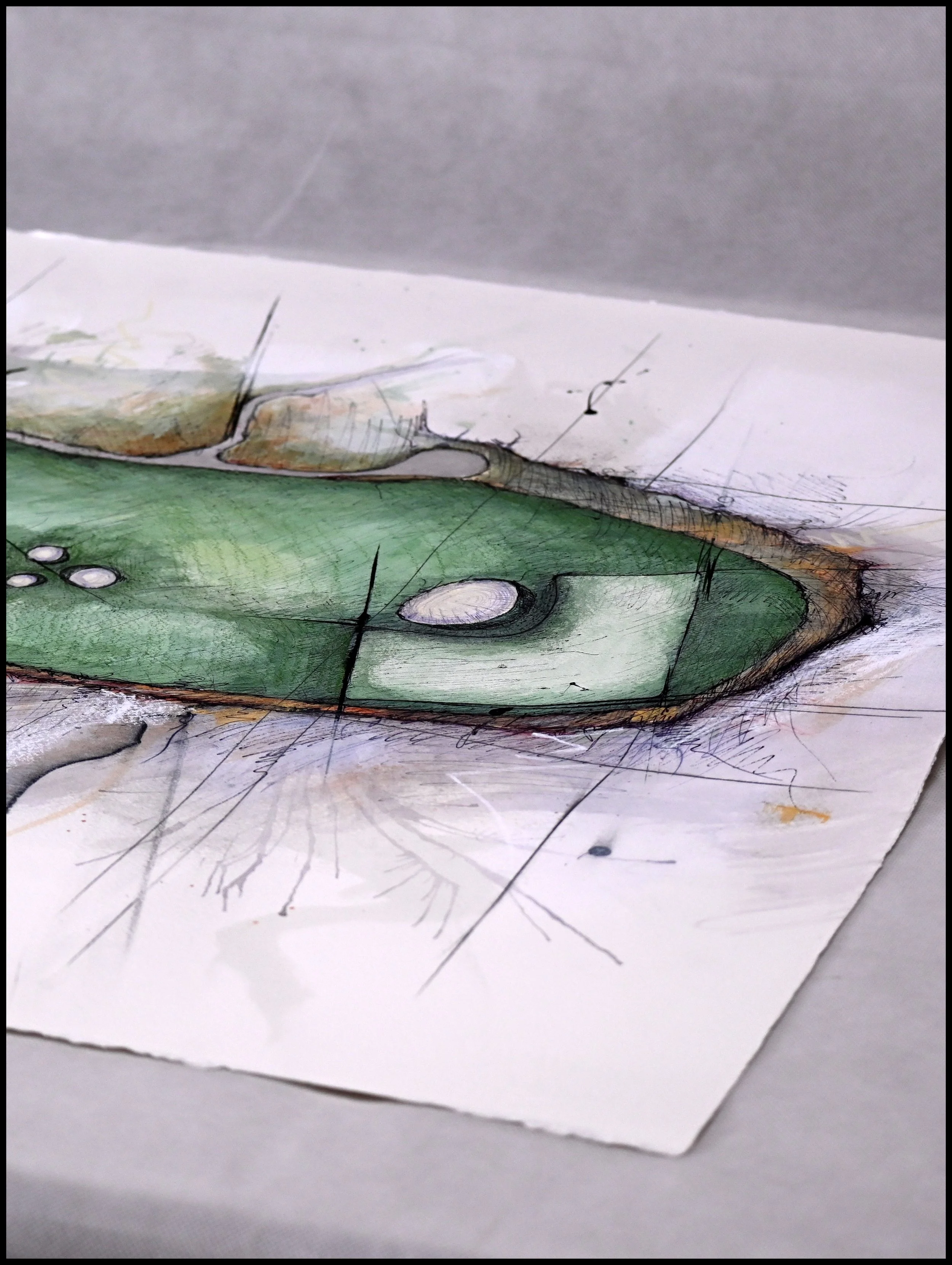 Charleston Municipal #13