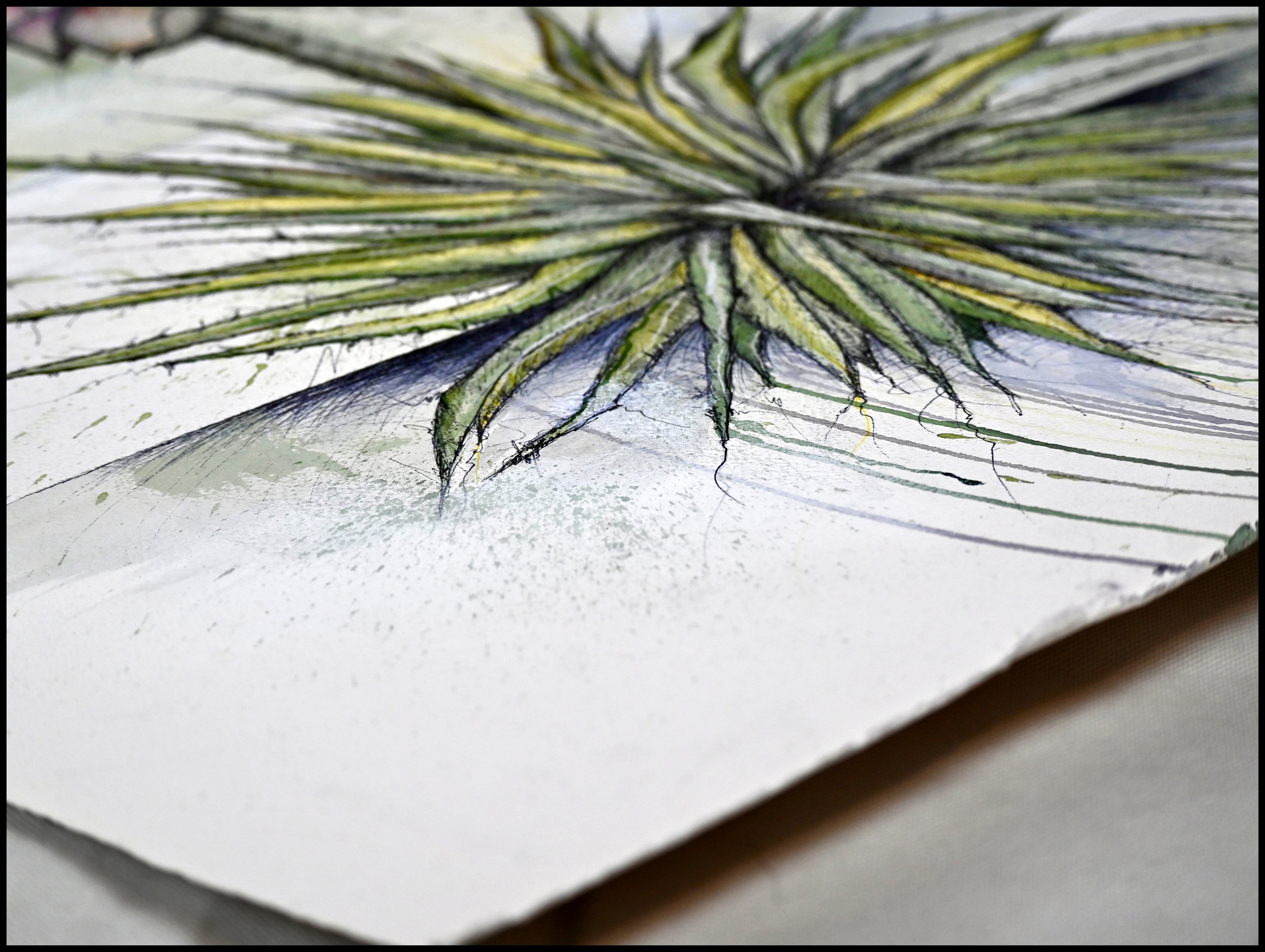 Yucca, Prairie Dunes Country Club