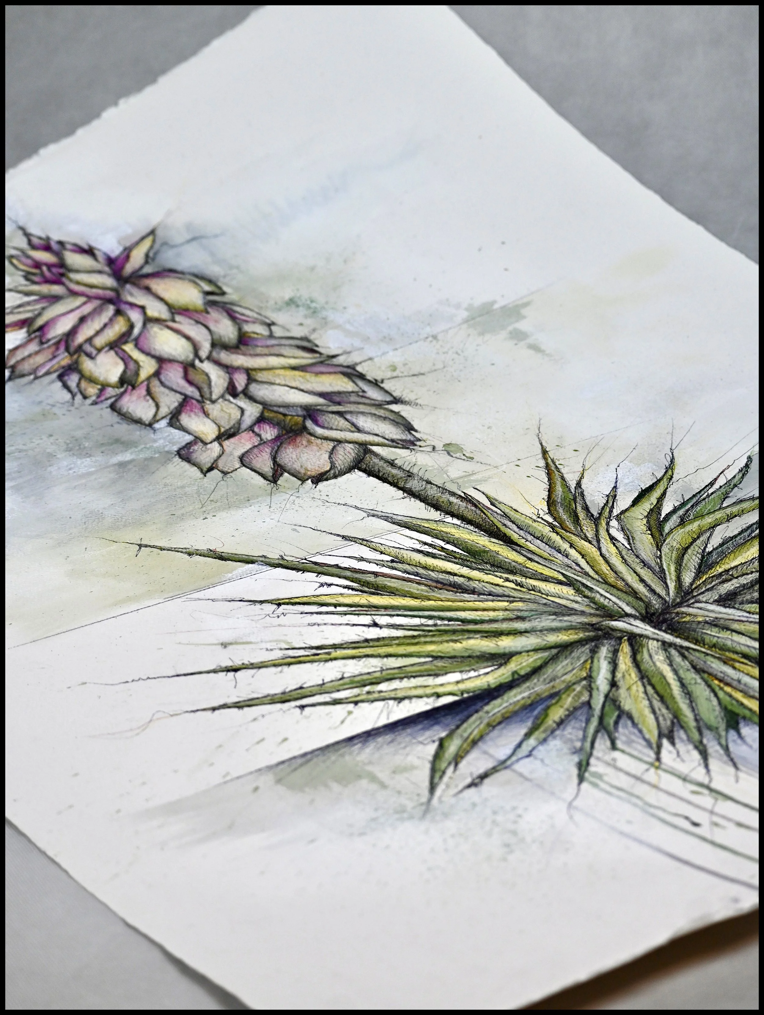 Yucca, Prairie Dunes Country Club