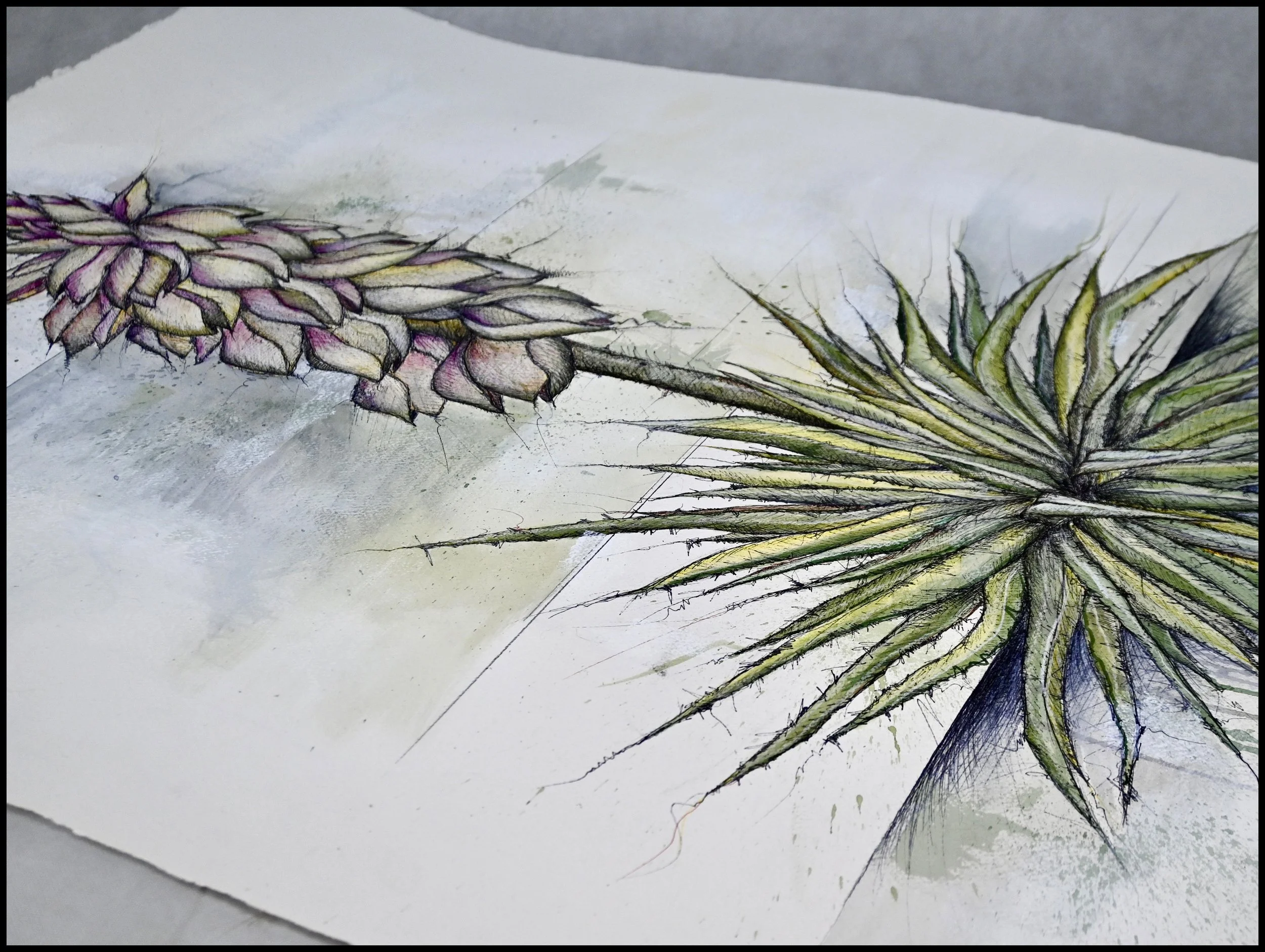 Yucca, Prairie Dunes Country Club