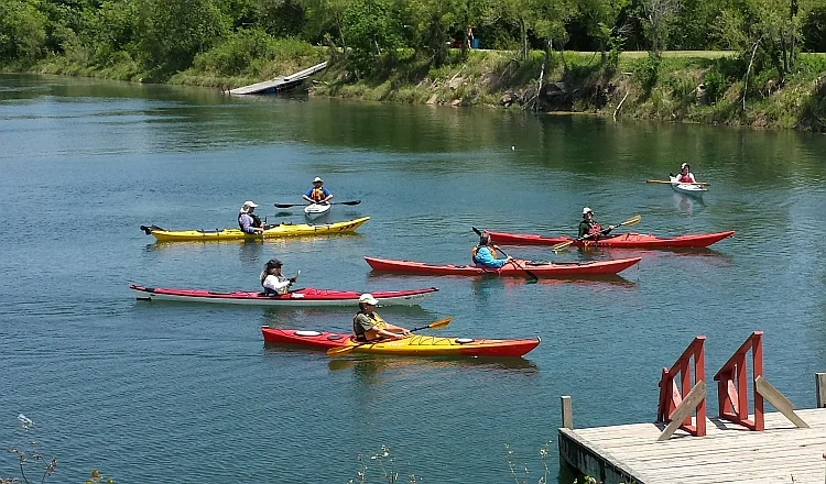 Kayak/Paddle Board (Silent Guide)