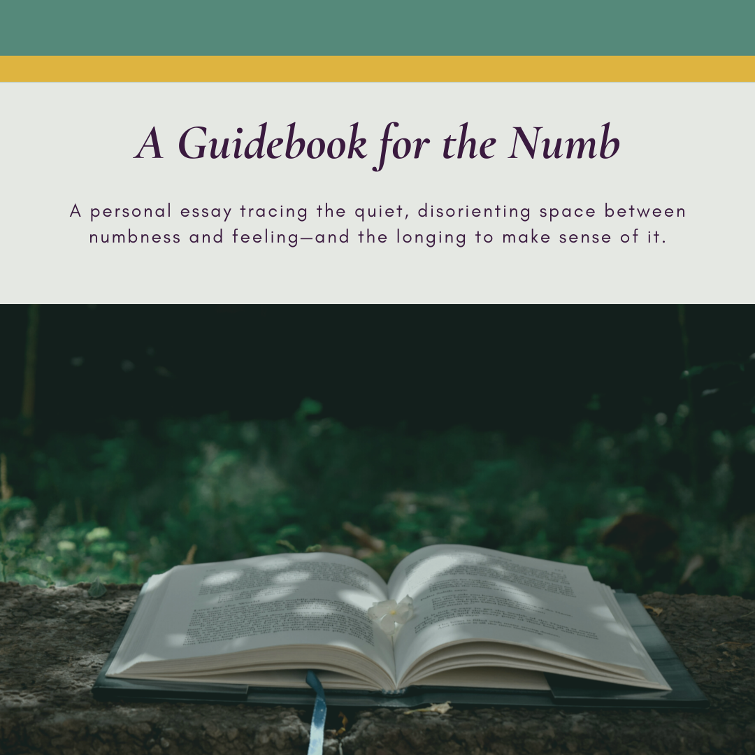 A Guidebook for the Numb