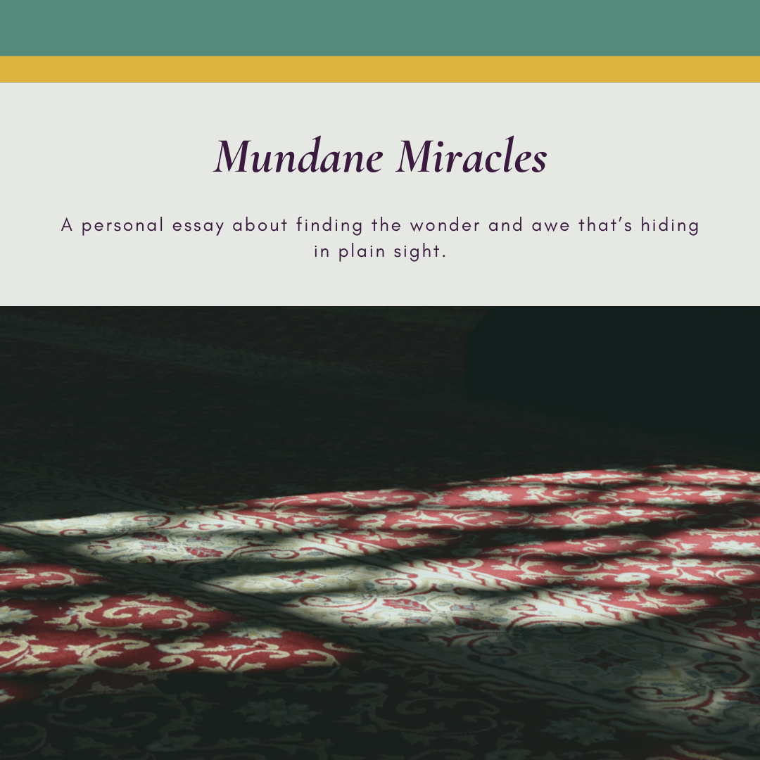 Mundane Miracles: How Wonder and Awe Hide in Plain Sight