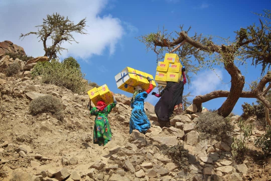 WSF Online Meeting – Yemen’s Gendered Humanitarian Crisis and Human Rights Commitments, 20 January 2026