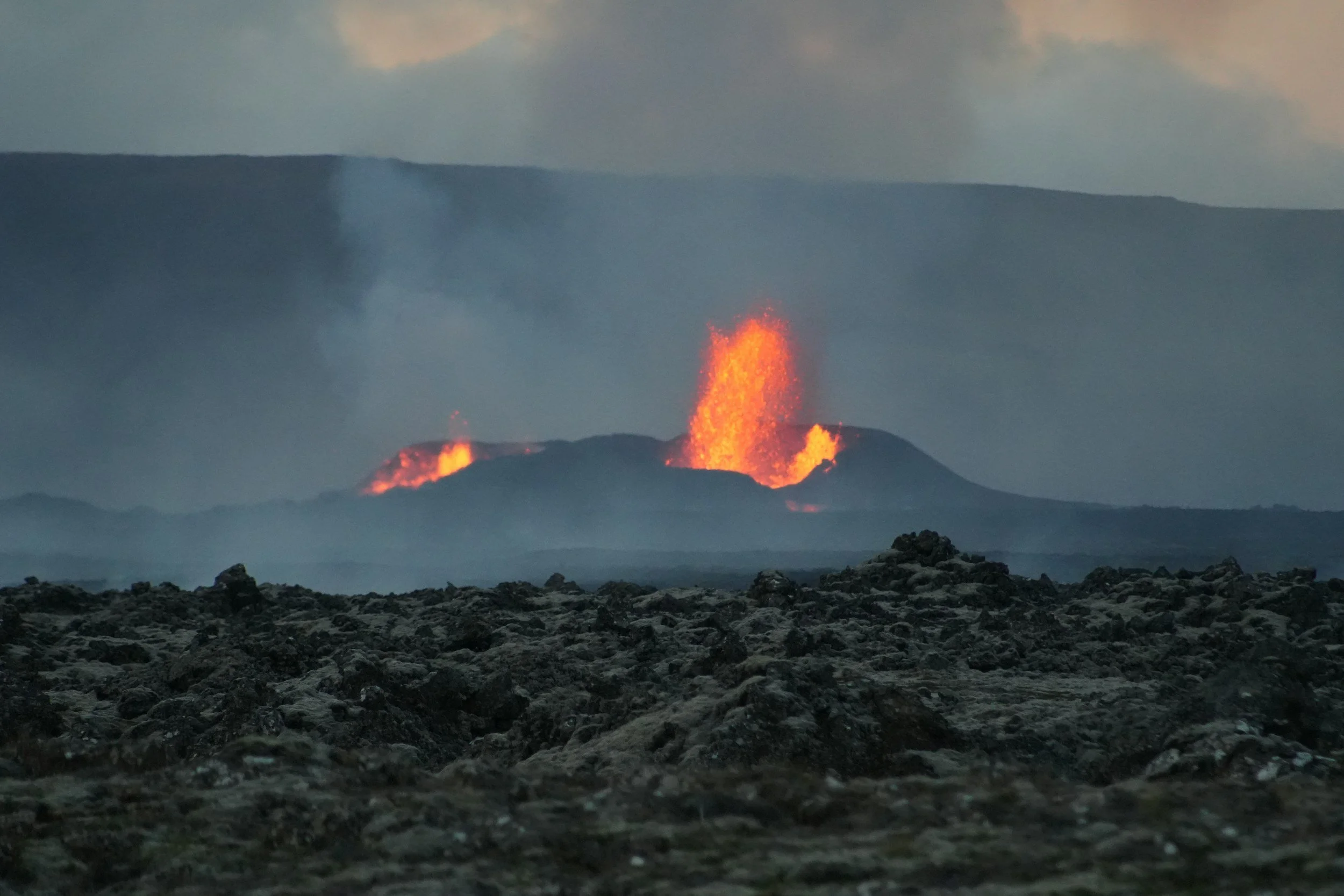 WSF Online Meeting – The Human and Environmental Cost of the Middle East Crisis: Implications for Europe and the Need for Immediate Action, 23 March 2026