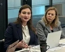 WSF Online Meeting – Legislative Lessons on Ending Violence Against Women with Maleeka Bokhari, 30 April 2026