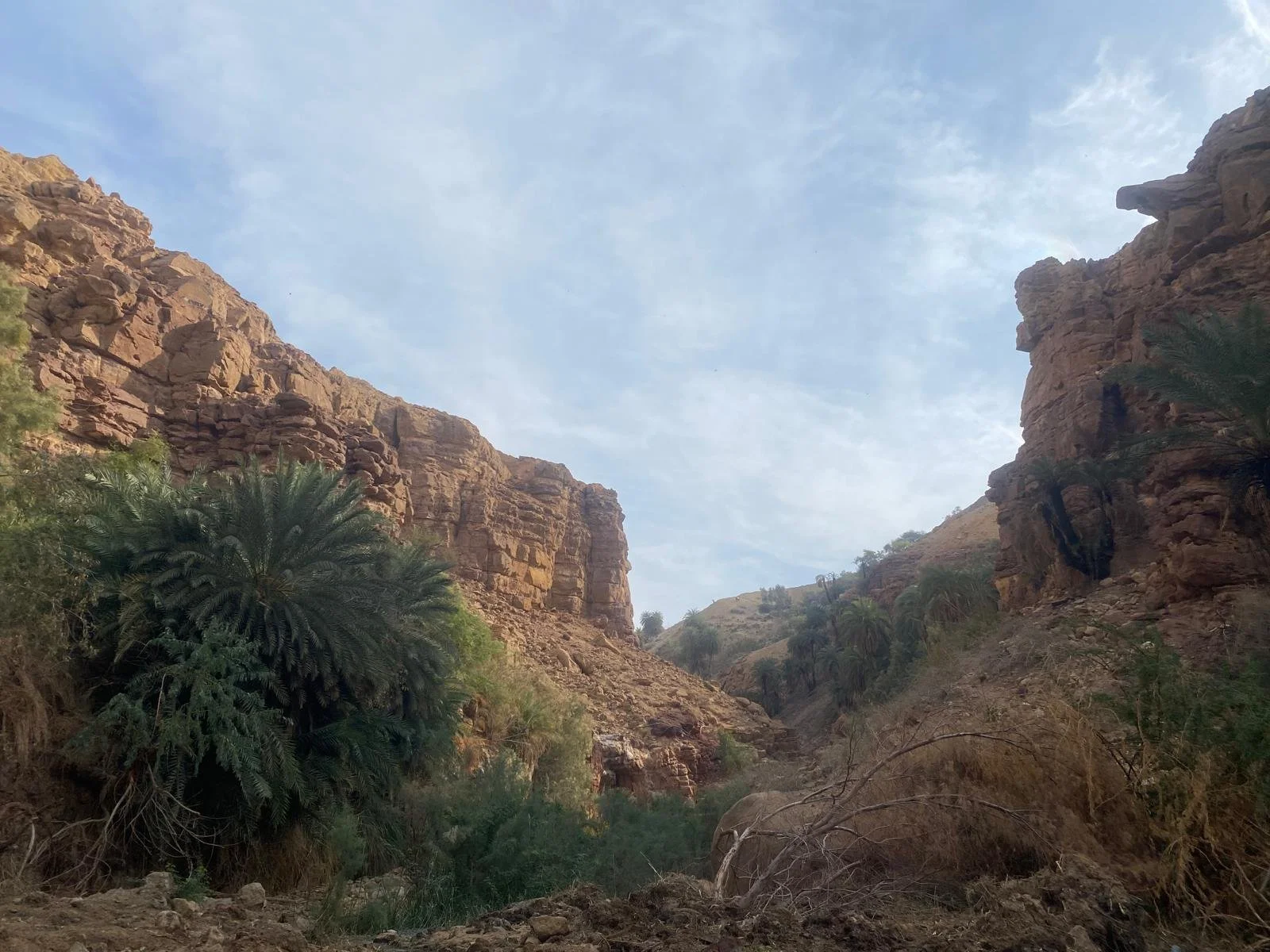 WSF Online Roundtable: From National Climate Action to Regional Cooperation: Lessons from Oman and the Region, 23 September 2026&nbsp;
