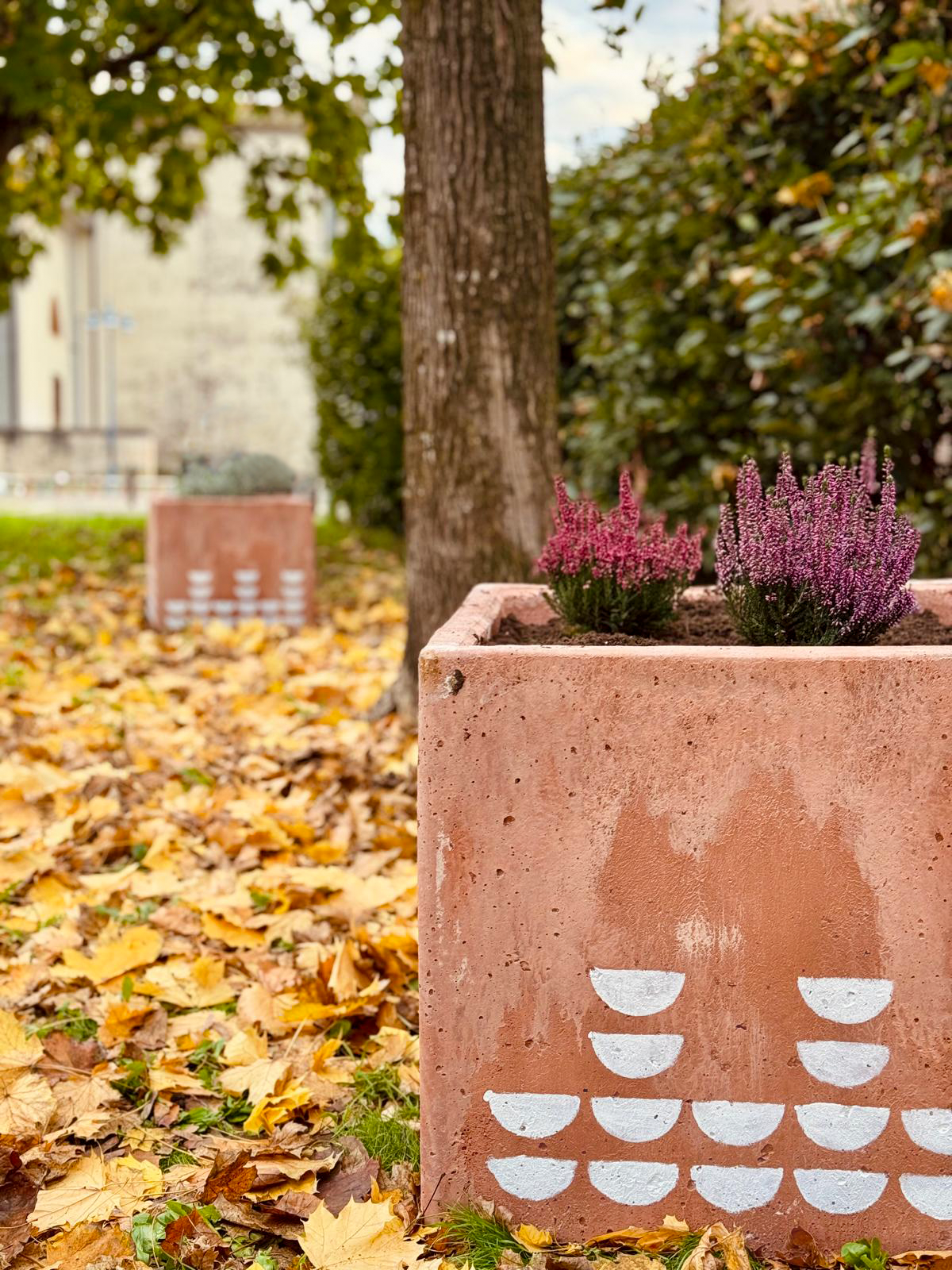 Fioriere di mattoni con piante di fiori viola in un parco autunnale con foglie secche sul terreno e alberi sullo sfondo.
