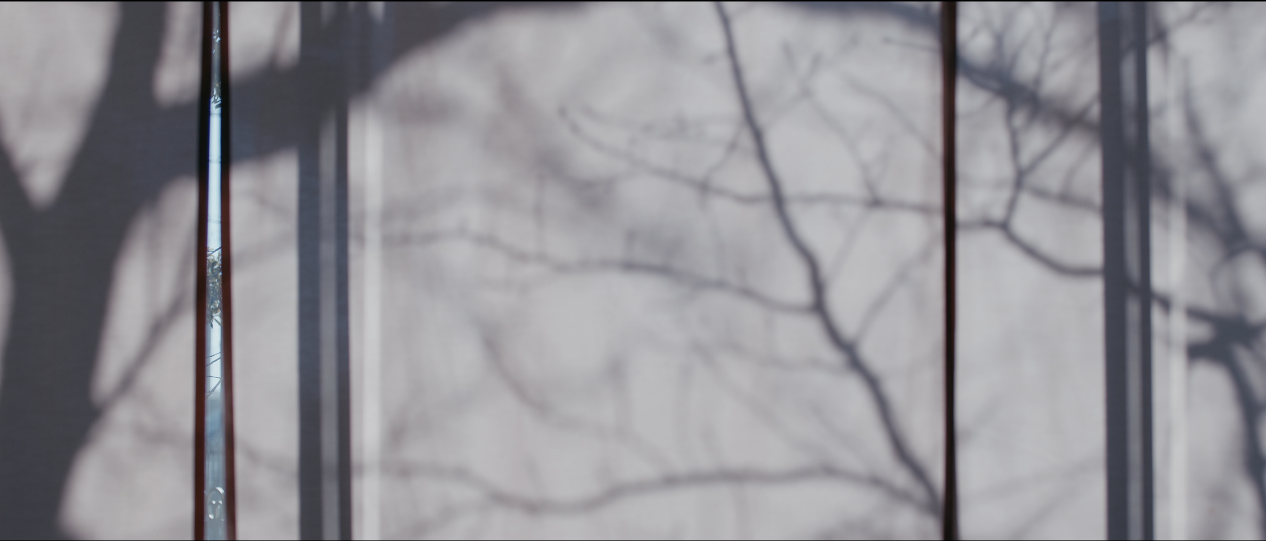 スクリーンショット 2024-03-12 21.06.12.PNG