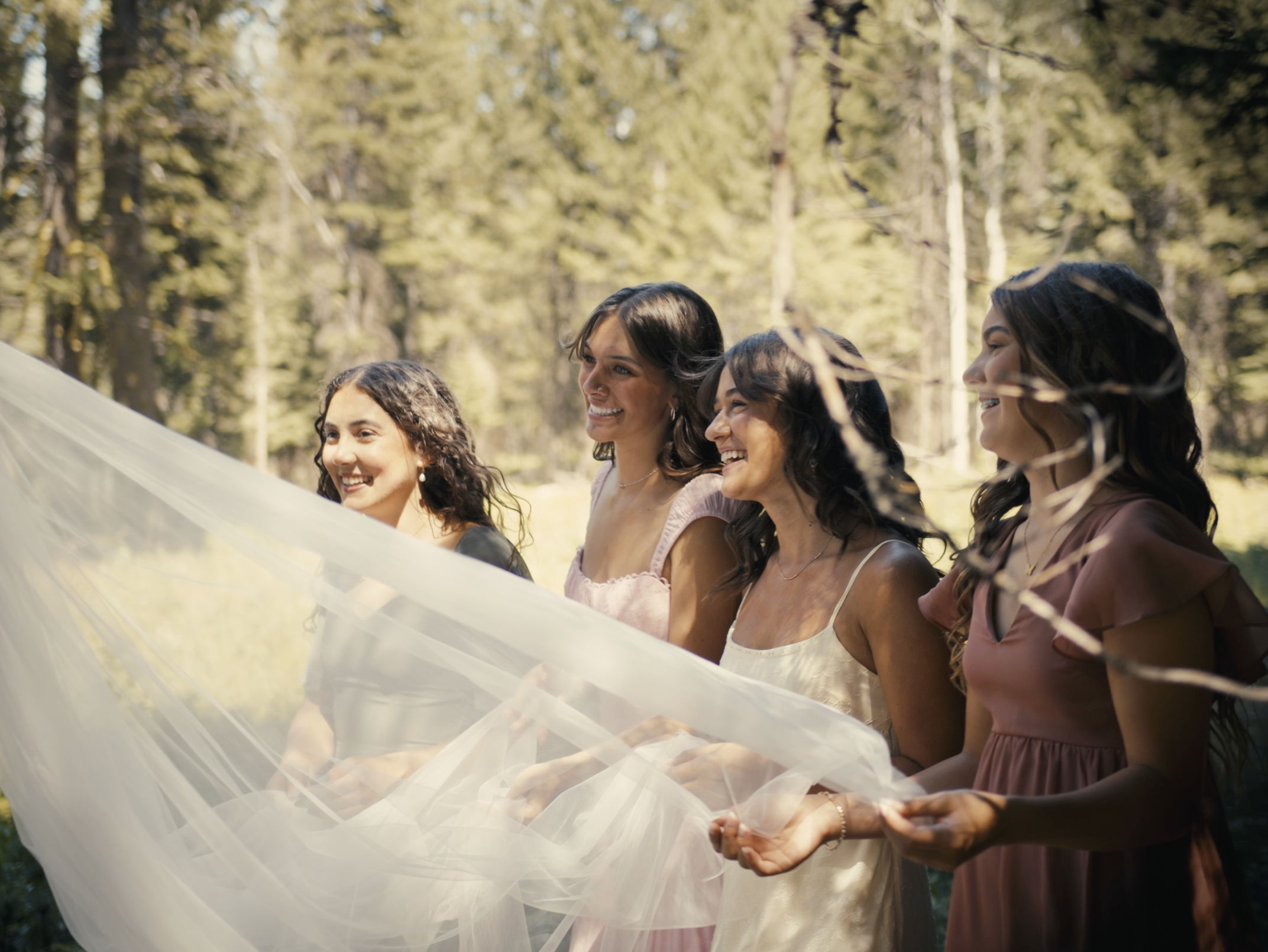 Screenshot 2025-08-08 at 10.10.58.png