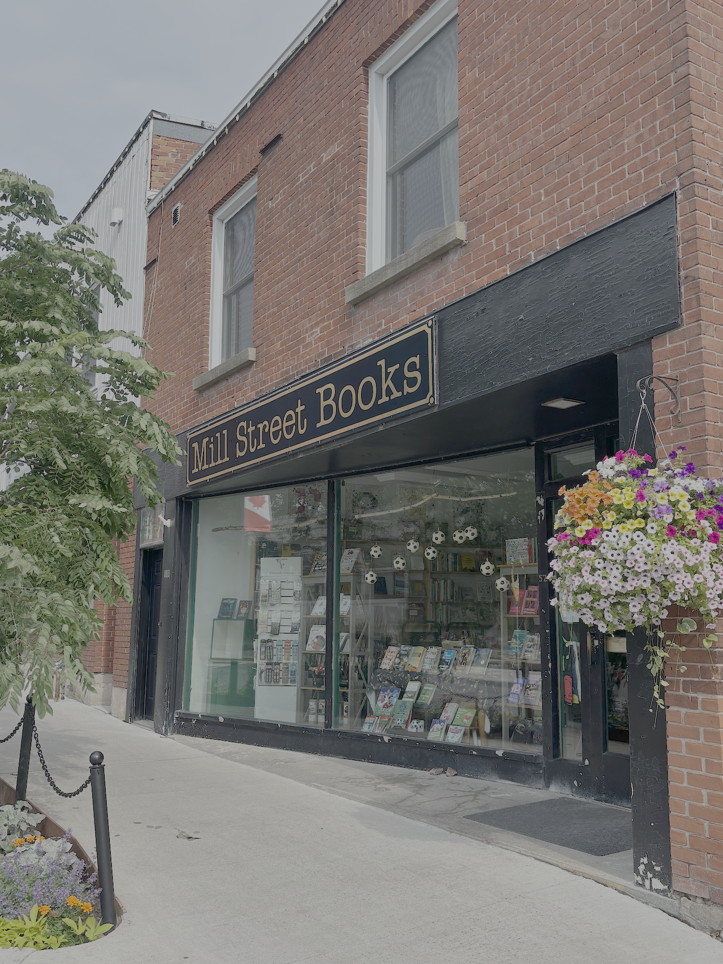Mill Street Books 