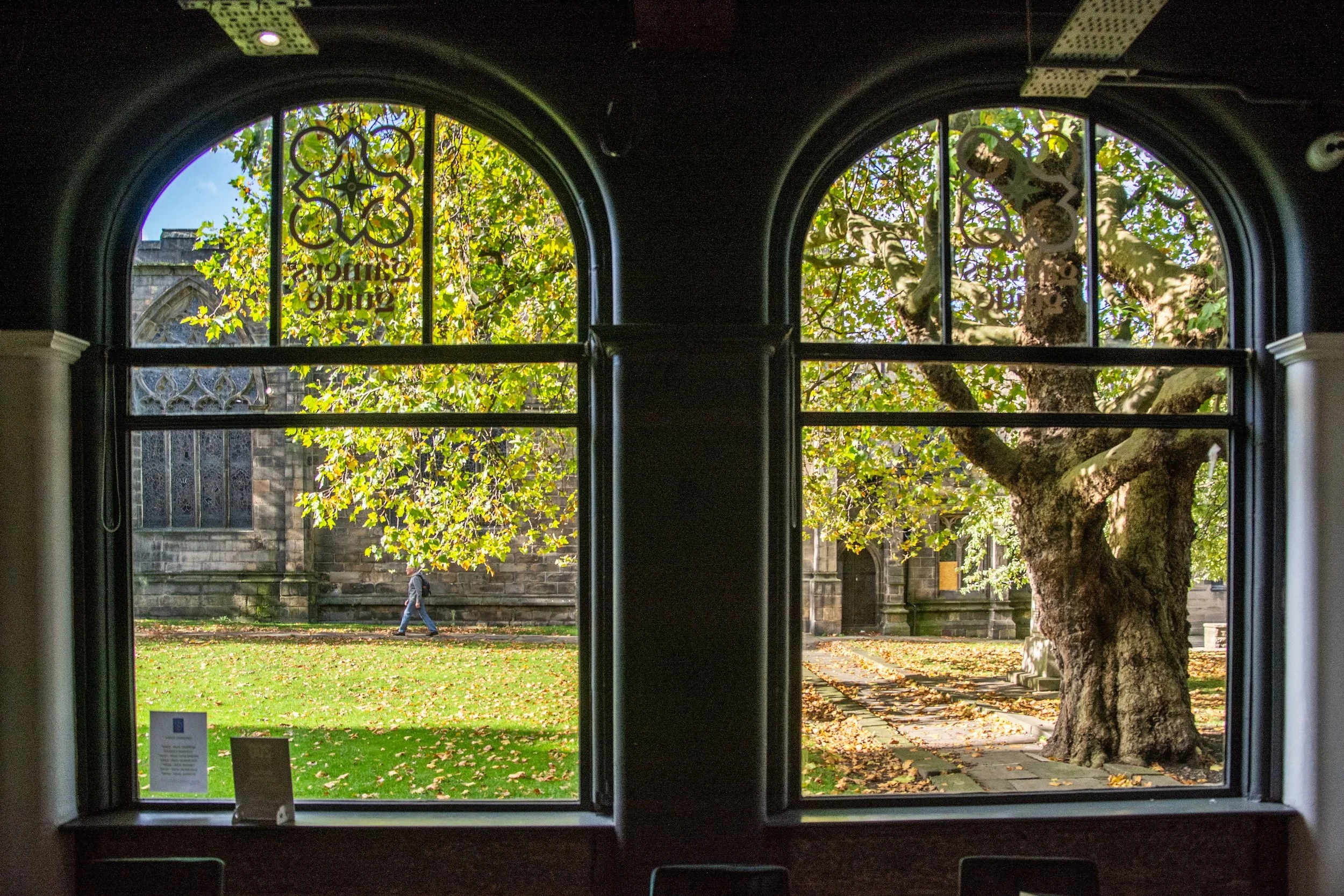 Windows good quality.jpg